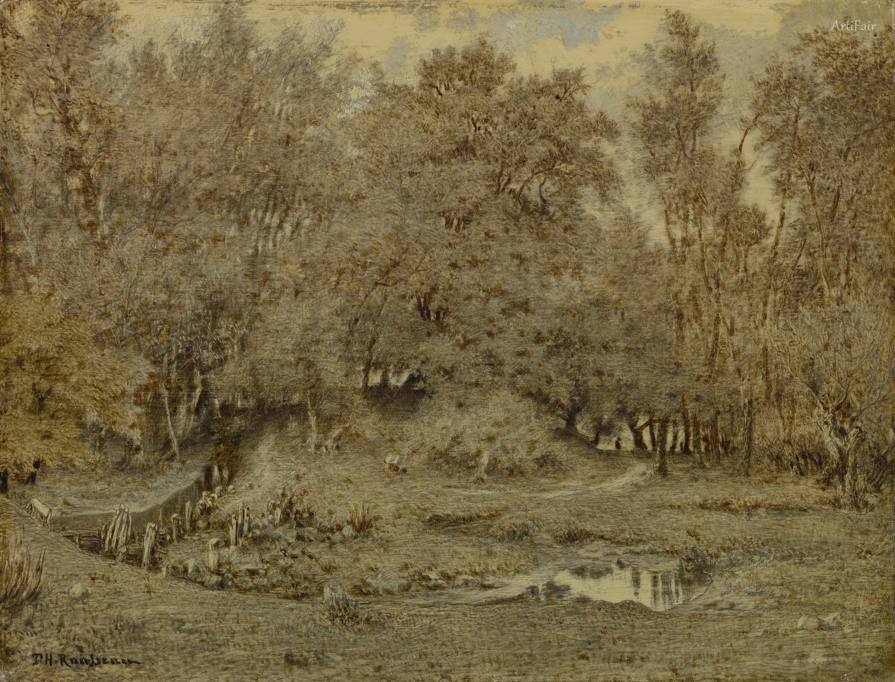 Stream in the forest of Fontainebleau