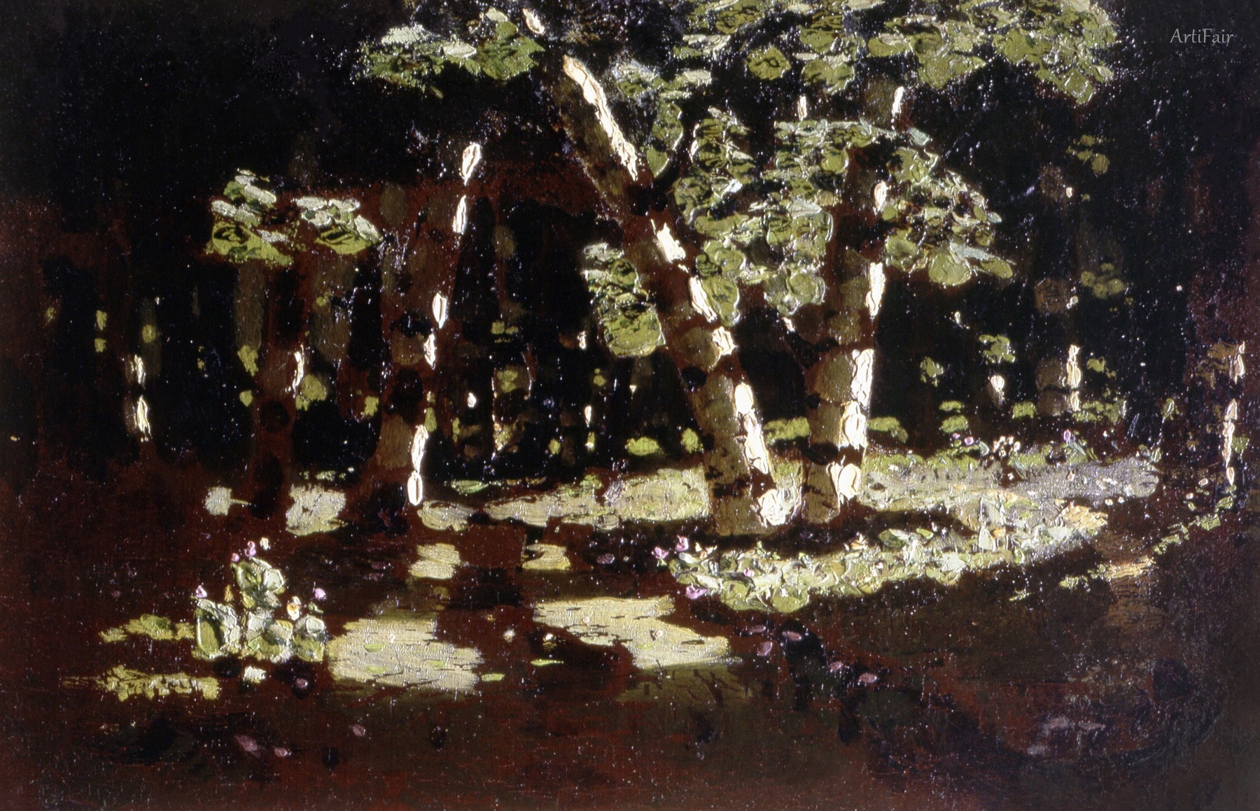 Birch Grove