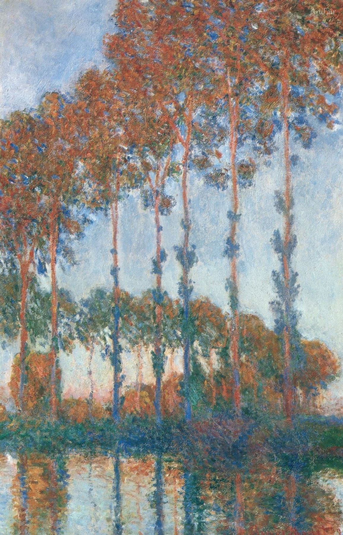 Poplars, Autumn