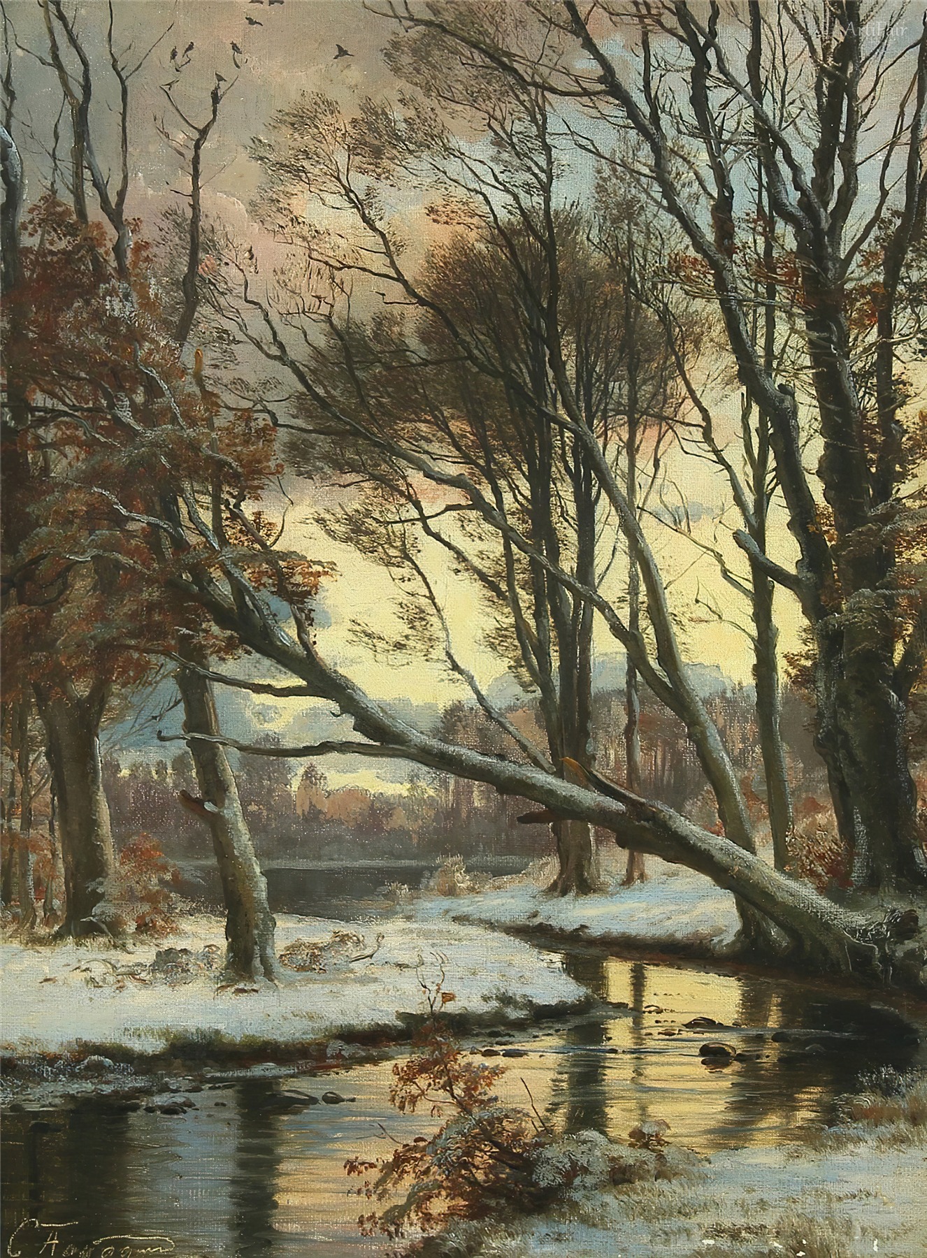 Winter Snow Scenery