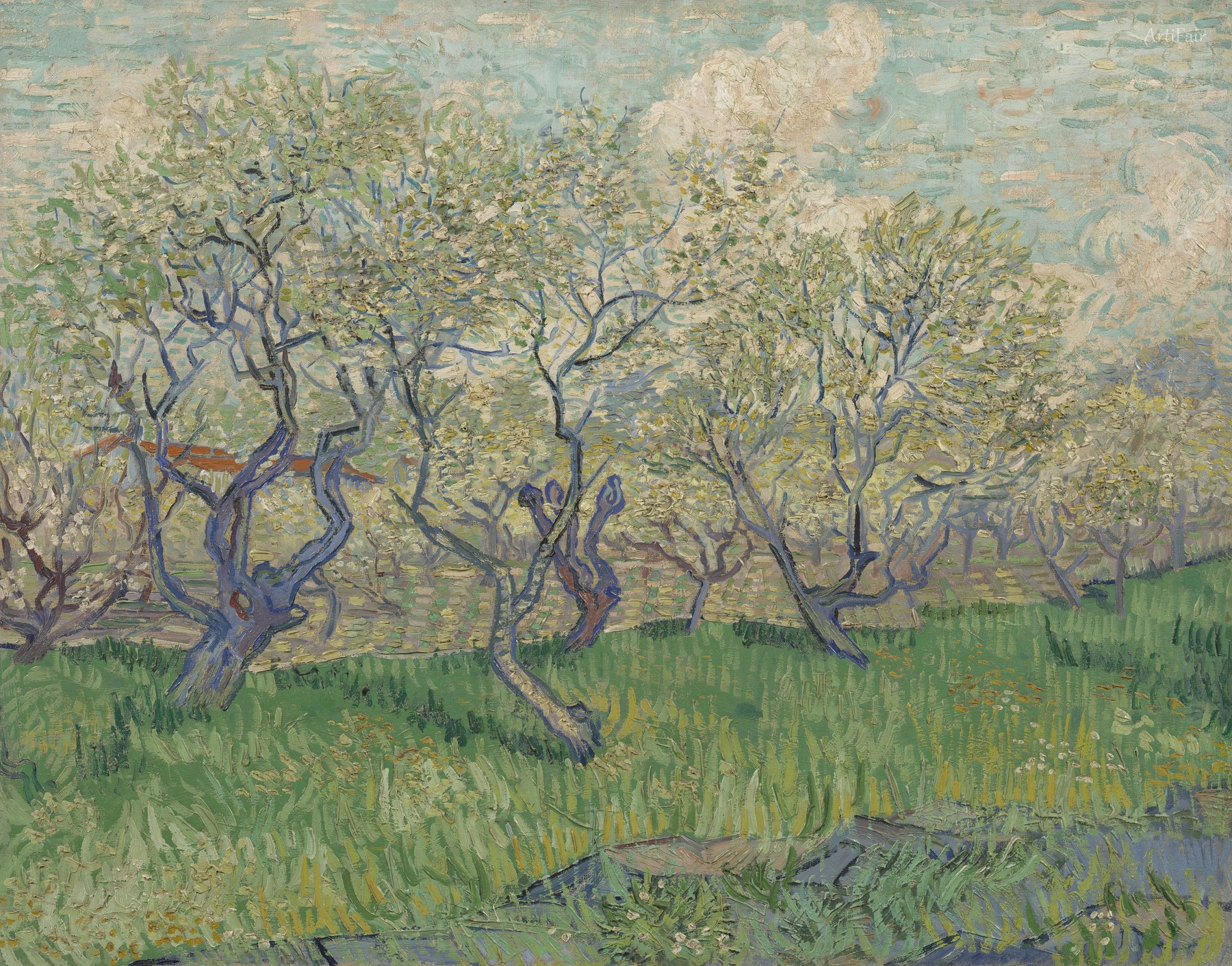 Orchard in Blossom