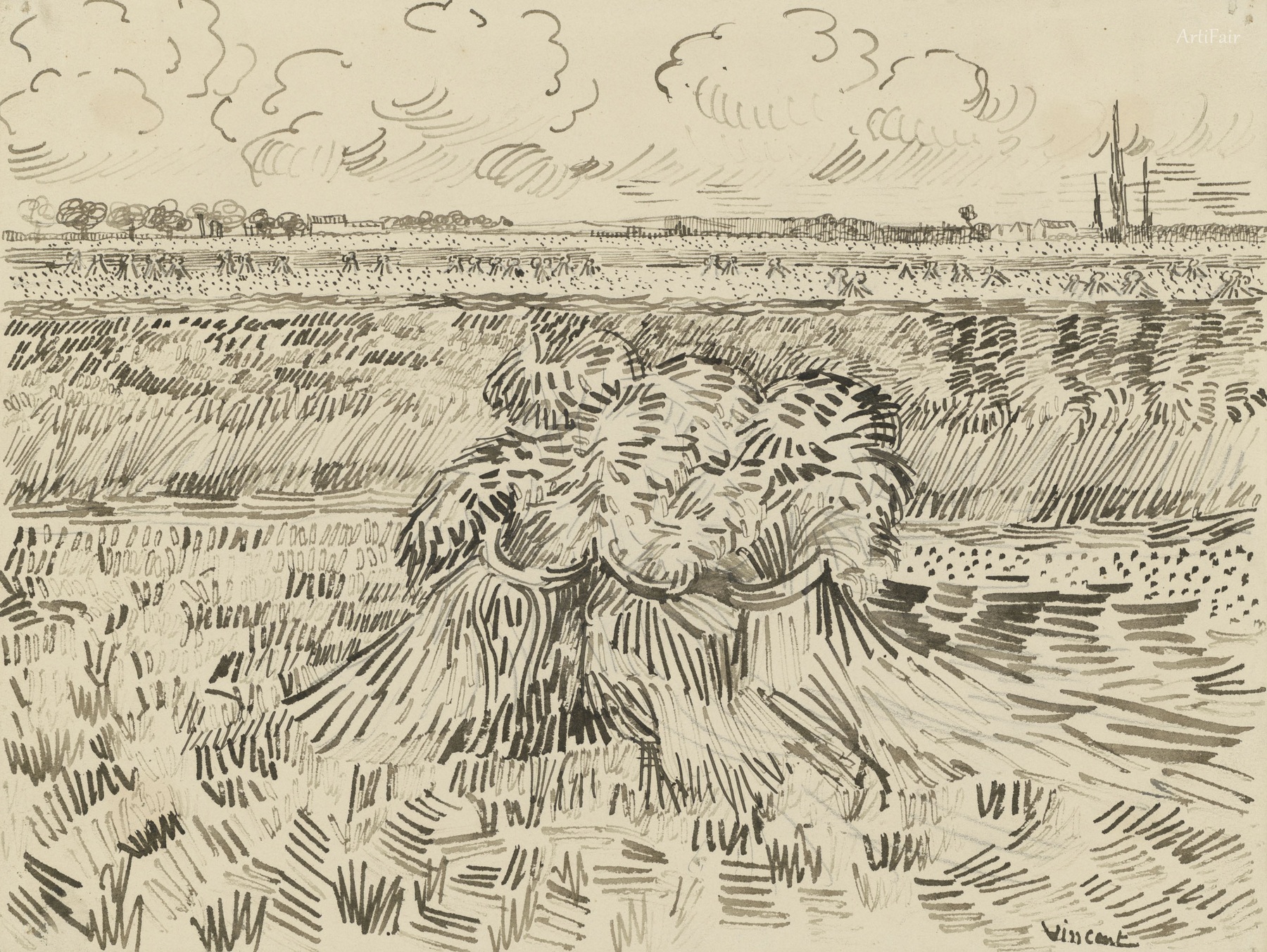 Fields with Harvested Grain Bundles