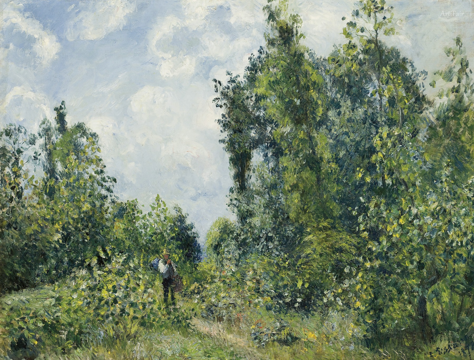 Edge of the Wood