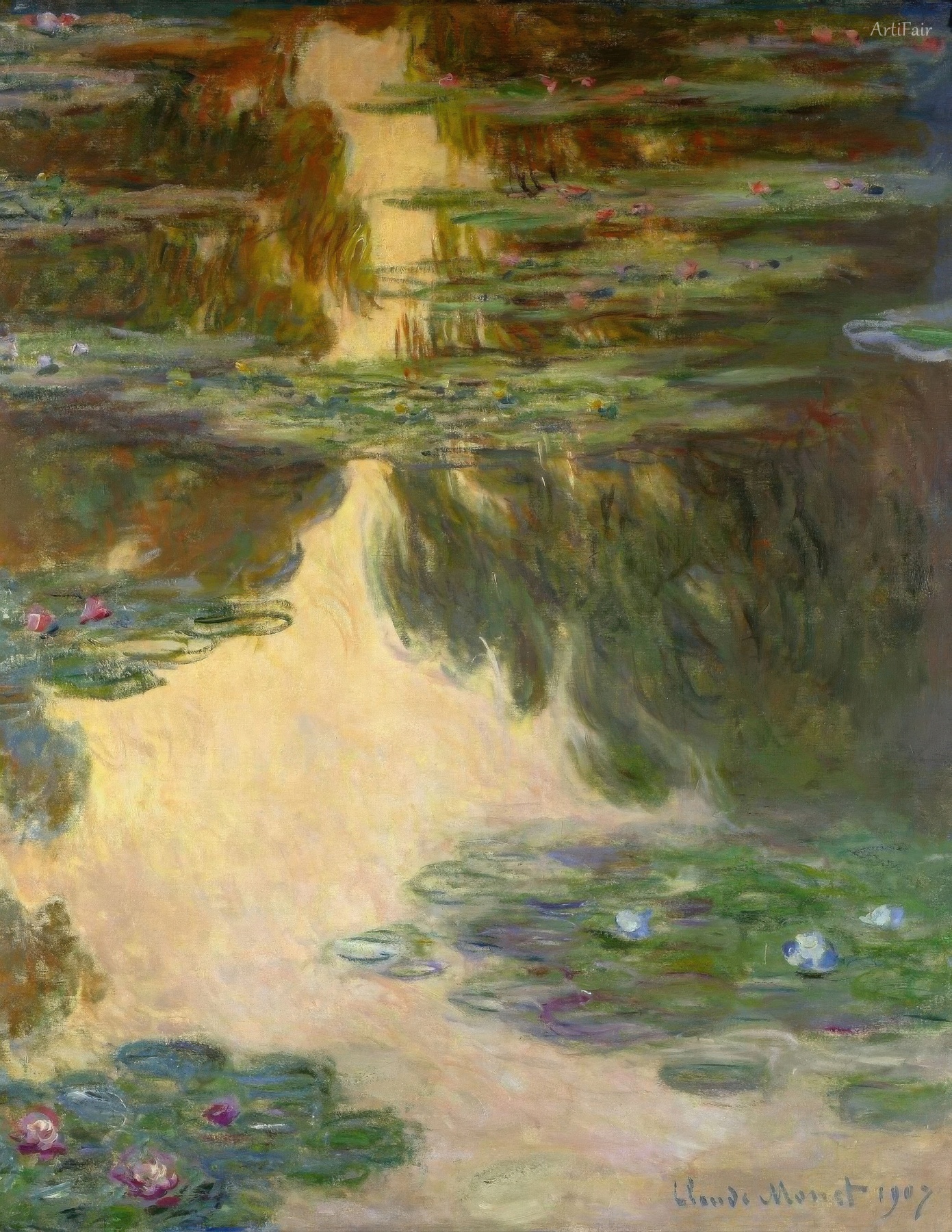 Water Lilies
