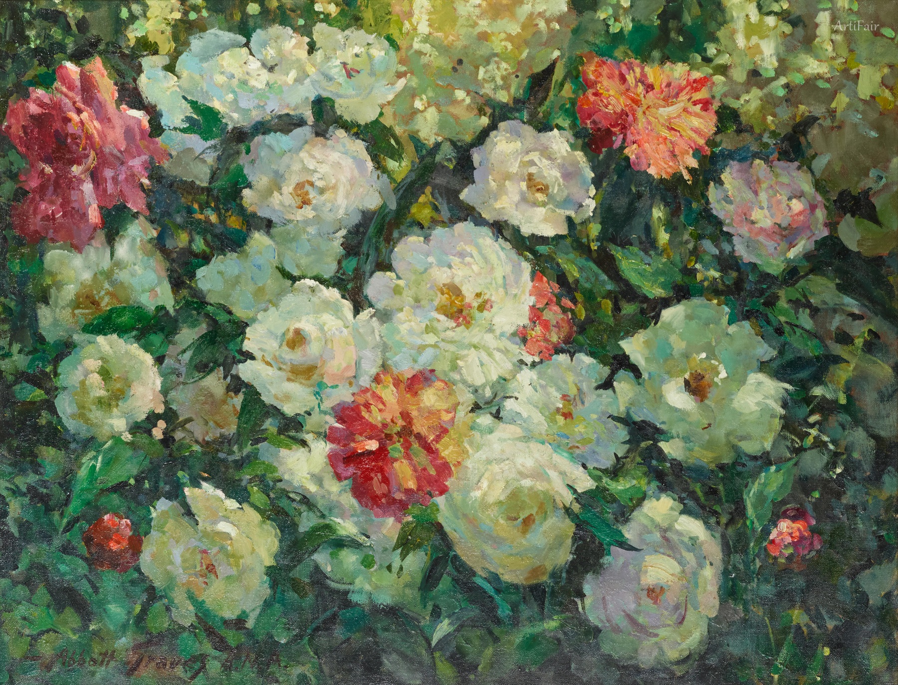 Peonies