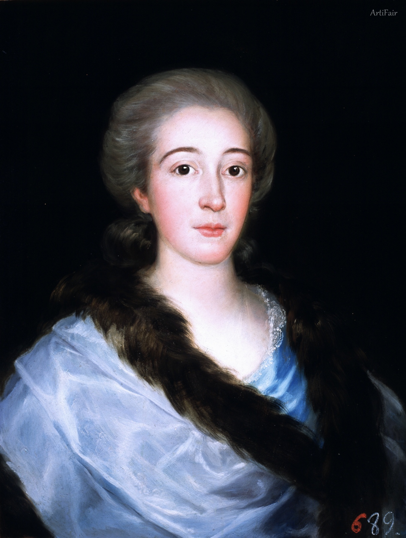 Ritratto di Doña María Teresa de Vallabriga y Rozas