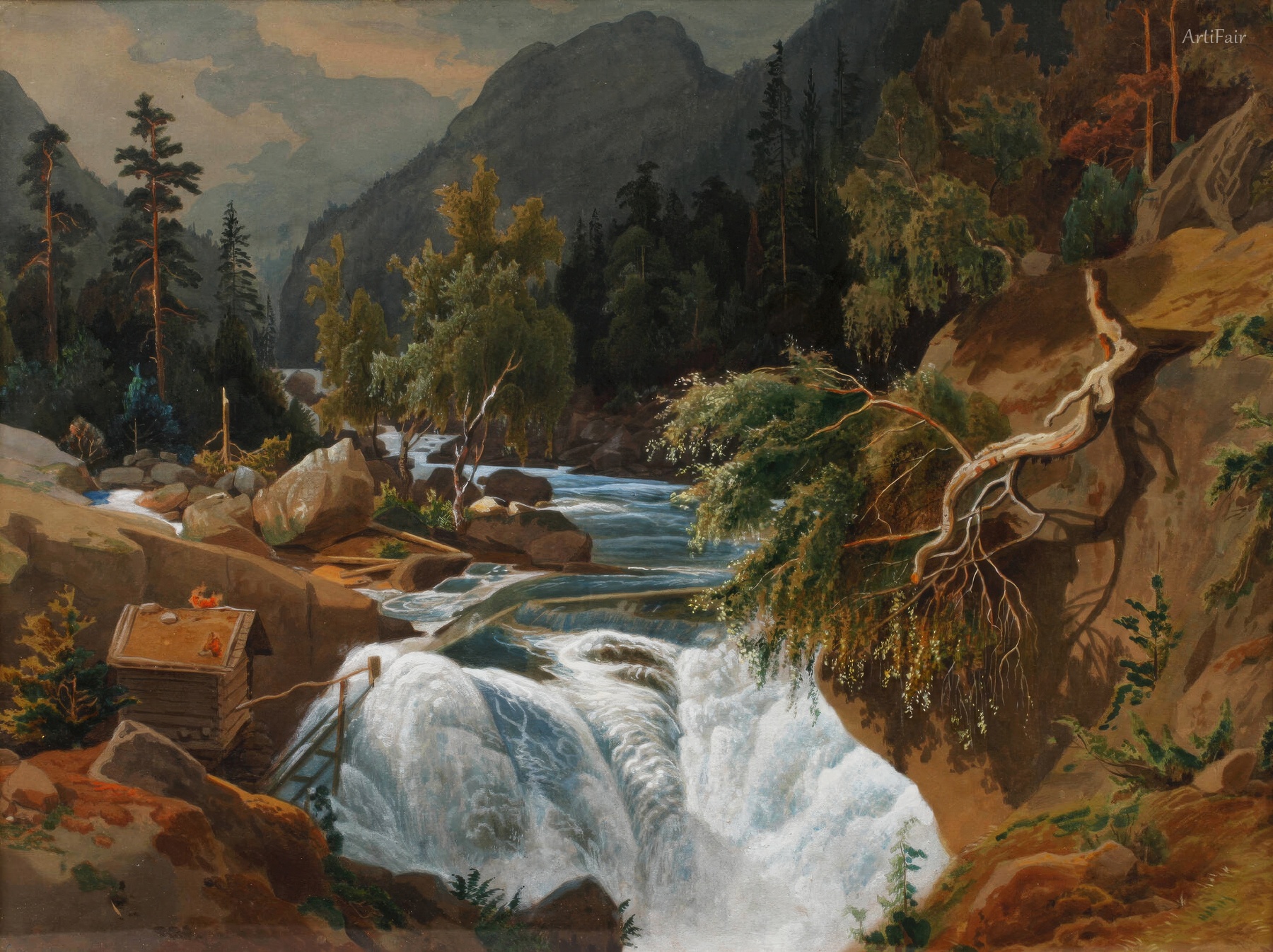 Rushing Mountain Stream
