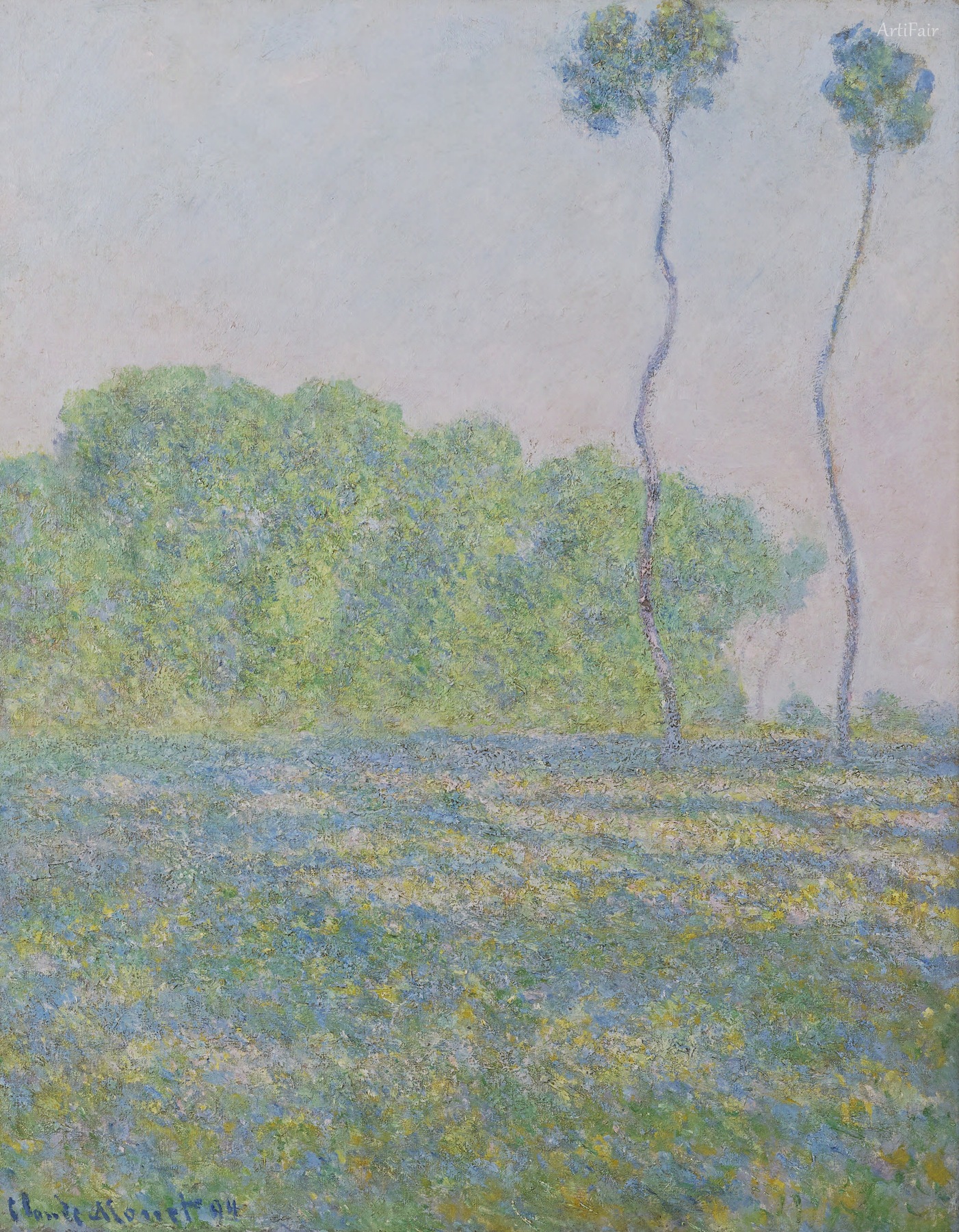 Louka v Giverny
