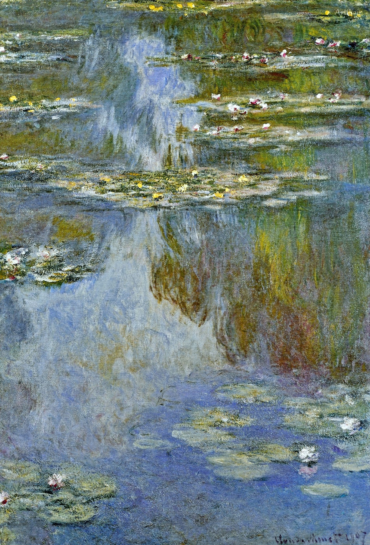 Water Lilies