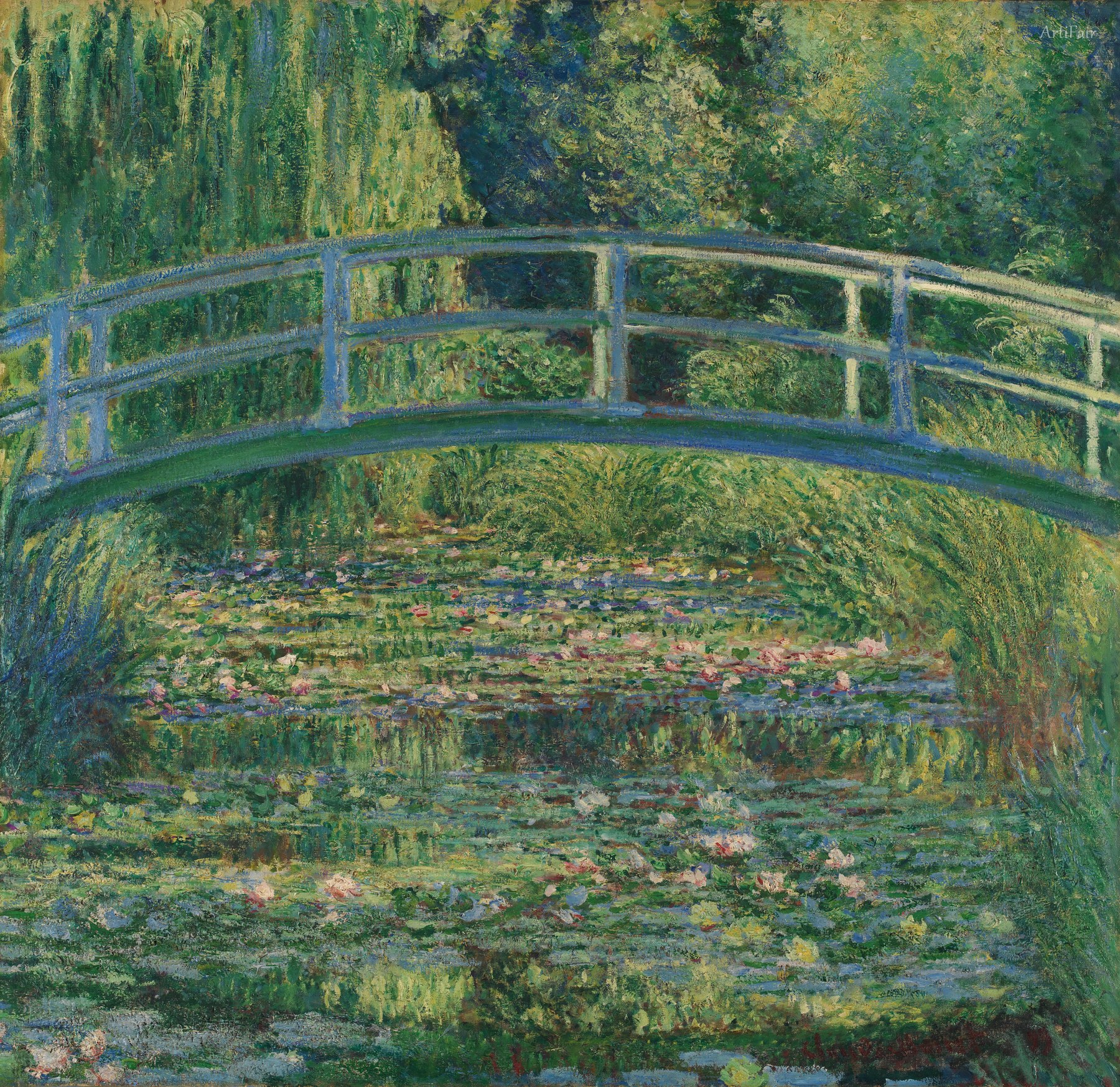 Water Lilies: Harmony in Green