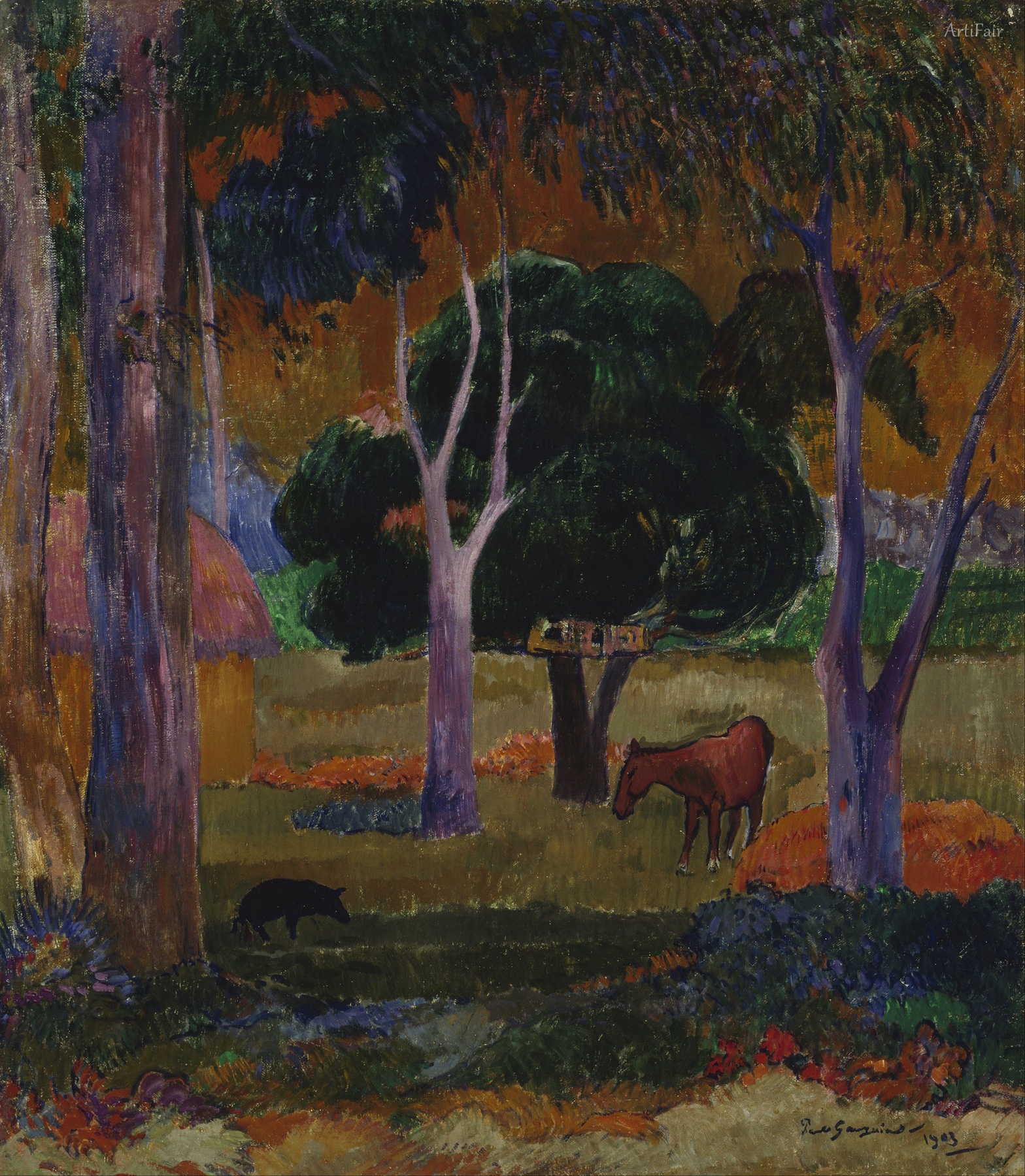 Dominica Landscape