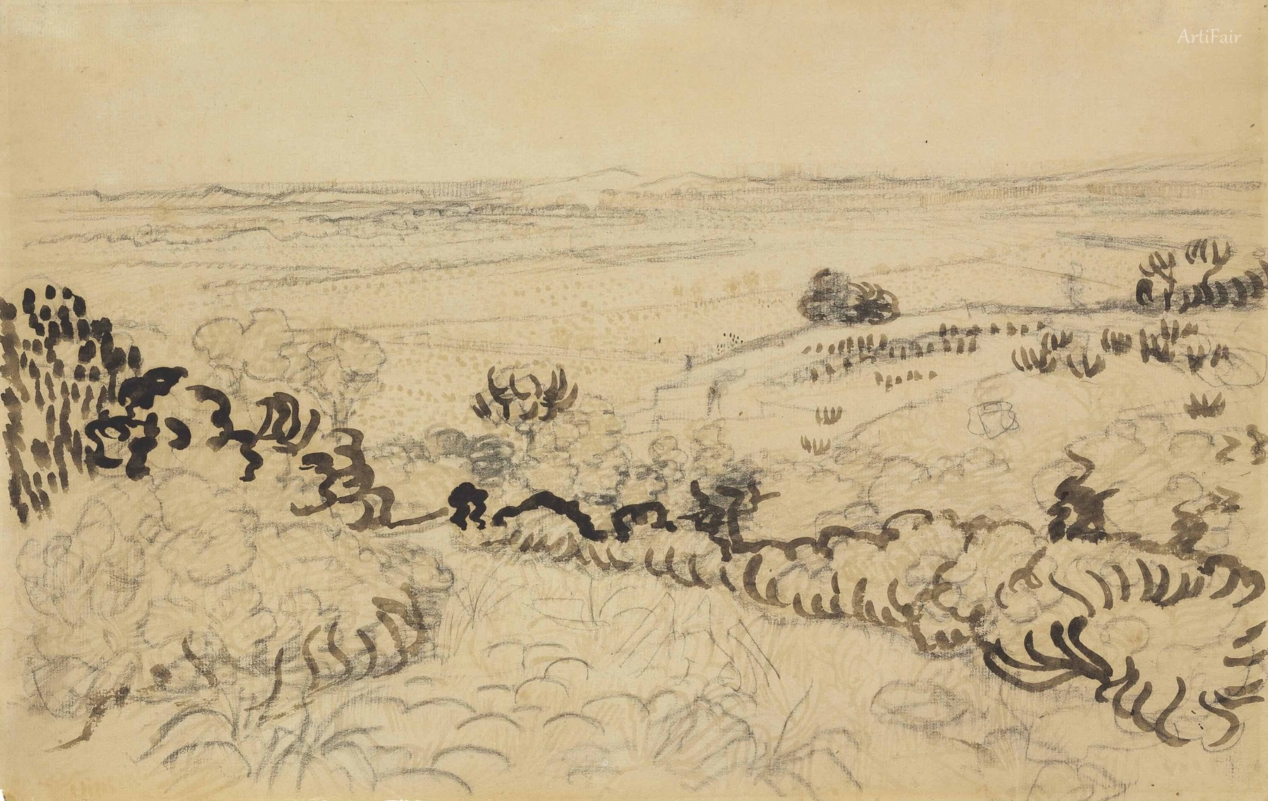The Plain of La Crau