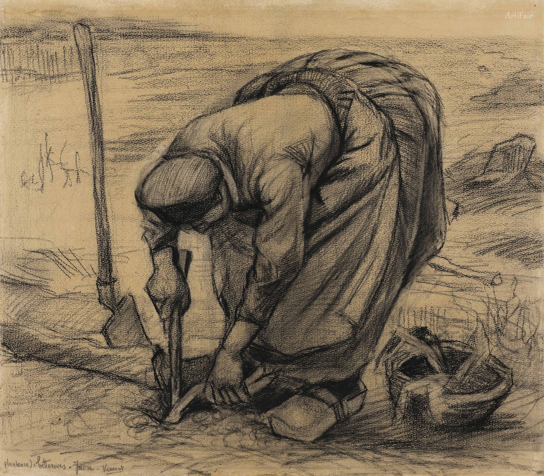 A farmer woman who grows sugar beets