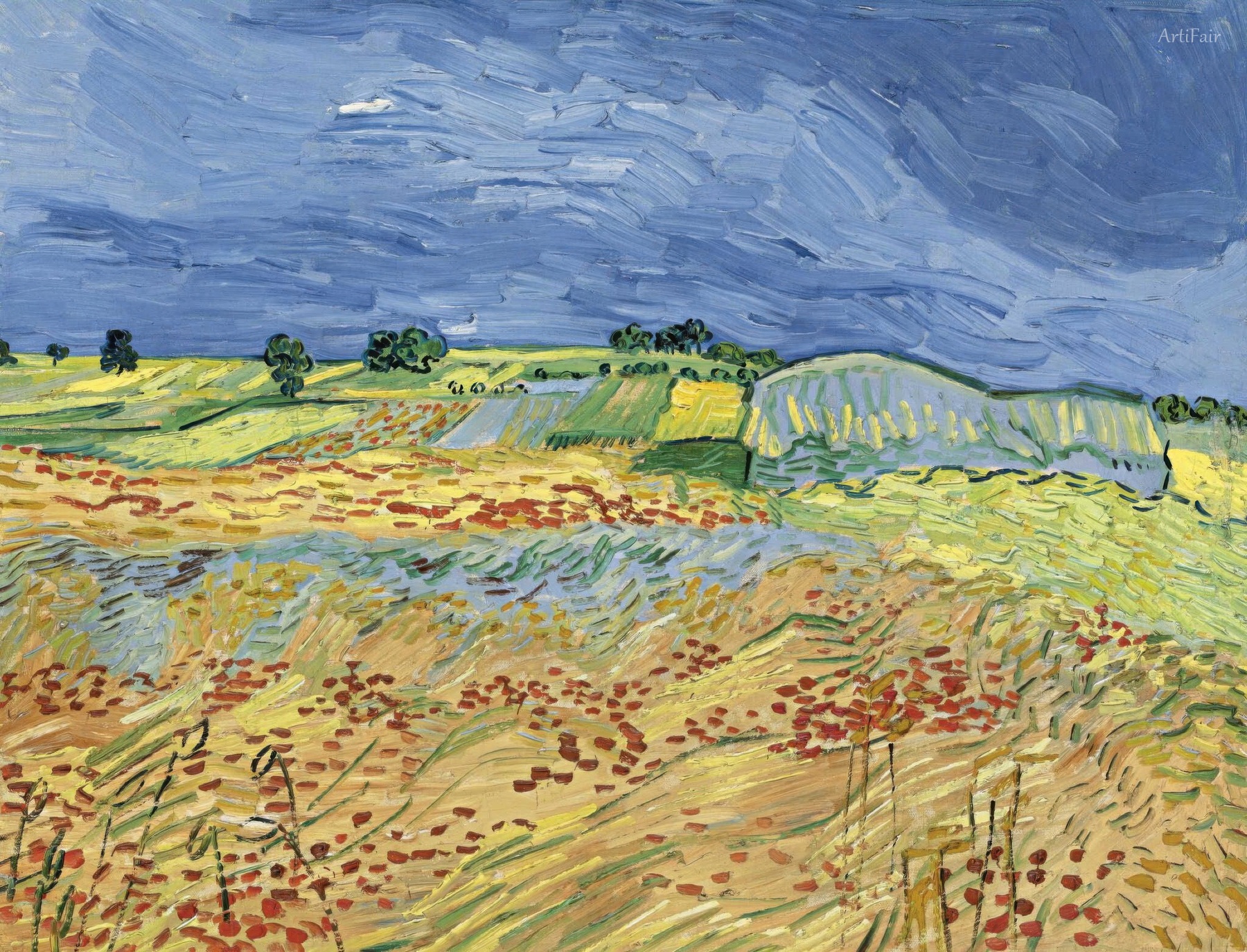 Wheat fields