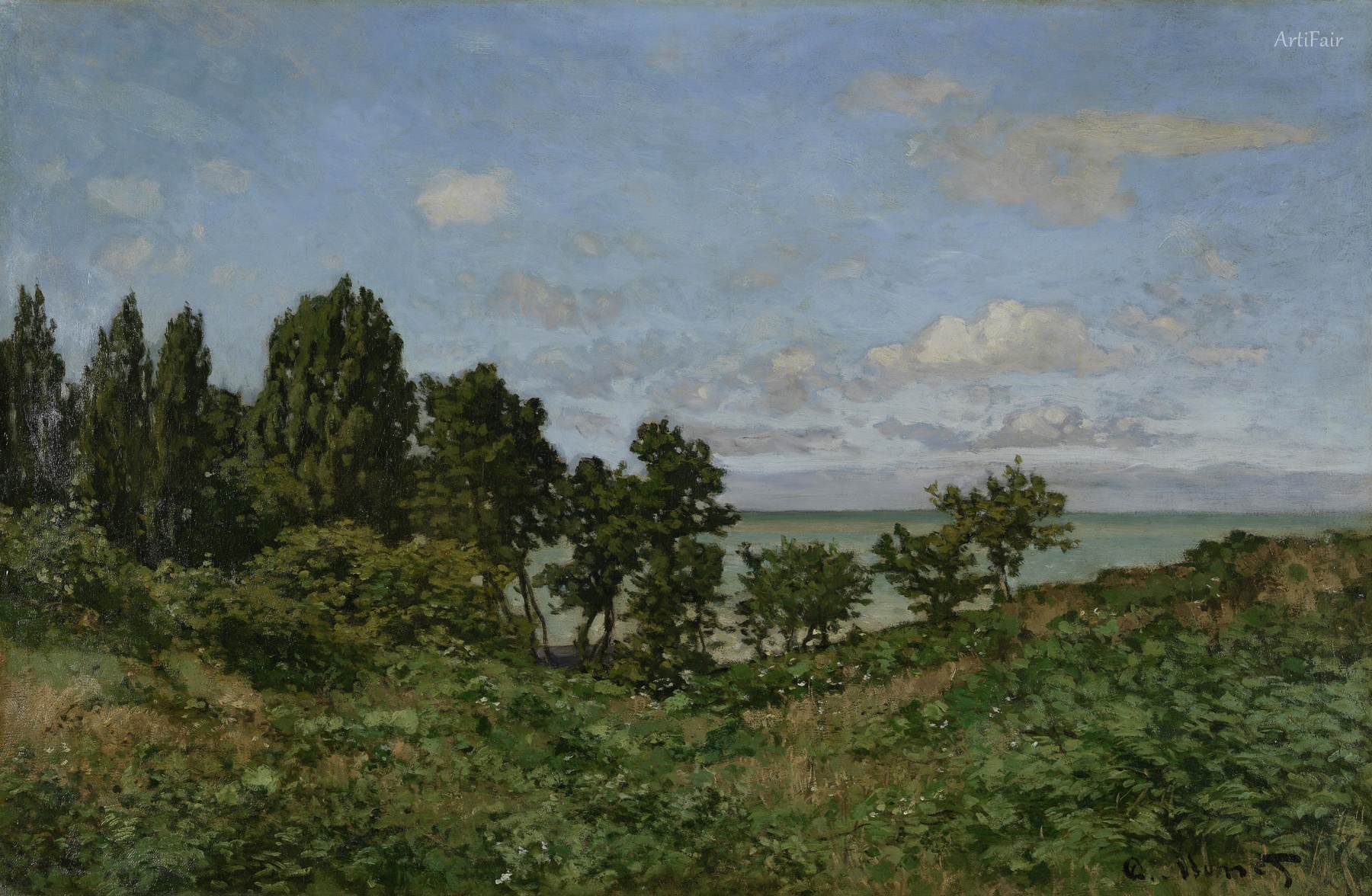 Coastal landscape