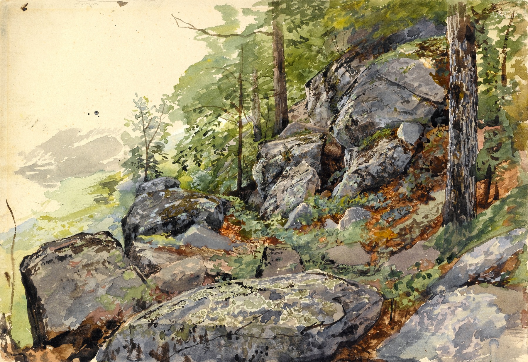 Woodland Boulders