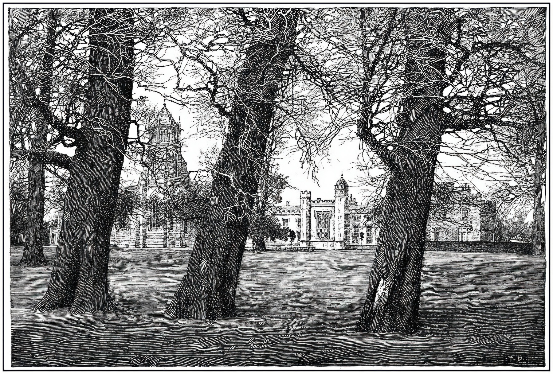 Three Trees