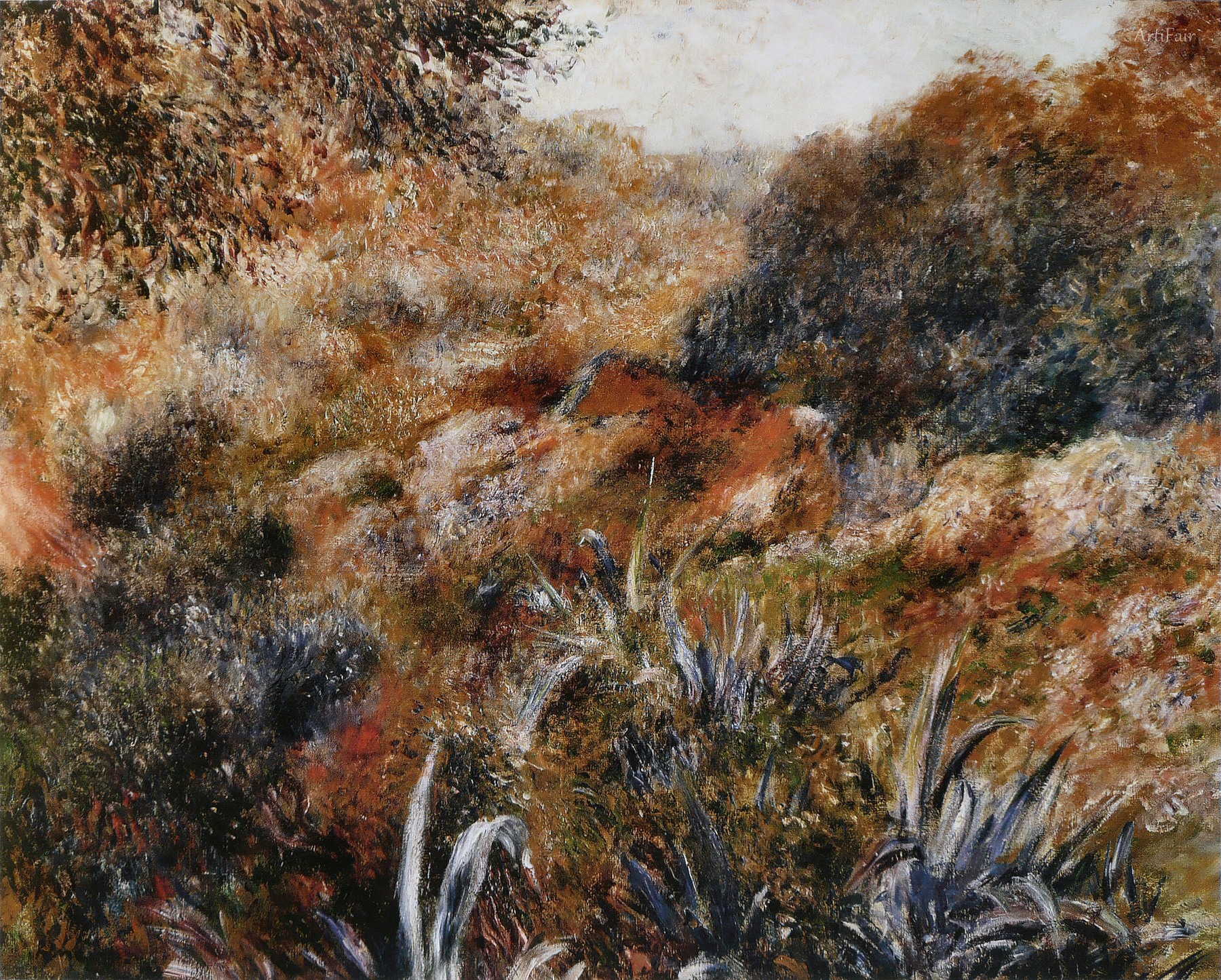 The Ravine of the Wild Woman