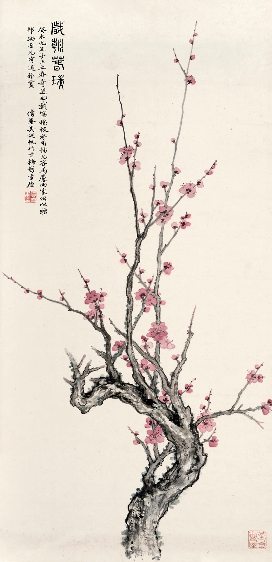 Plum Blossom