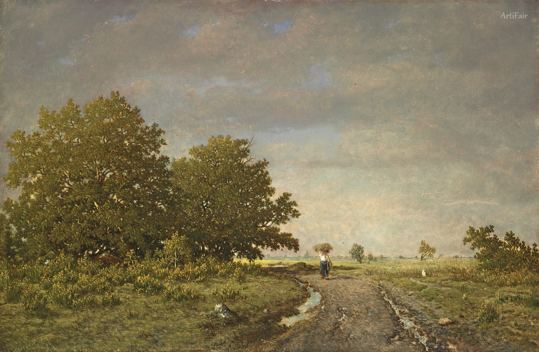 Paysage d'été