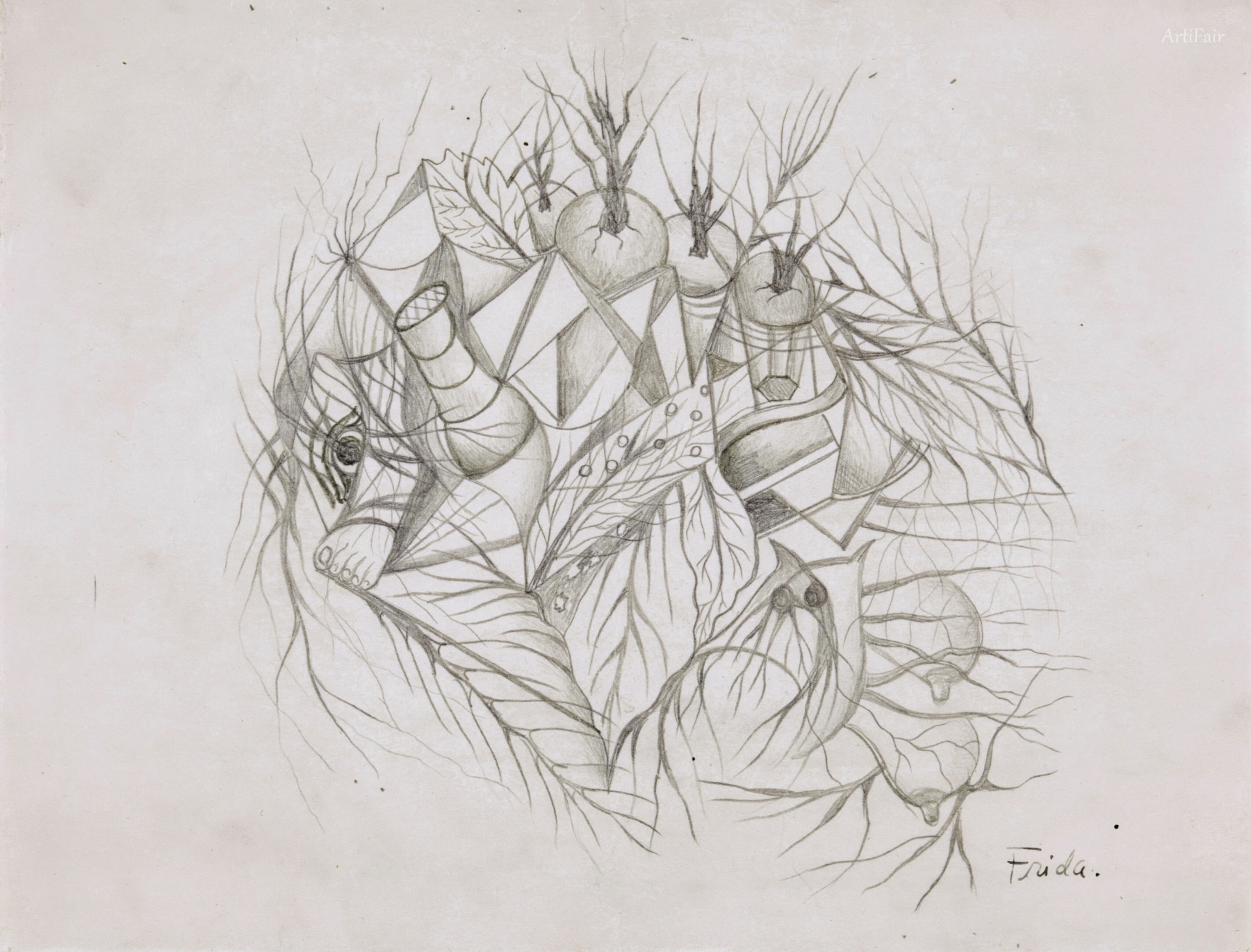 Foot Drawing