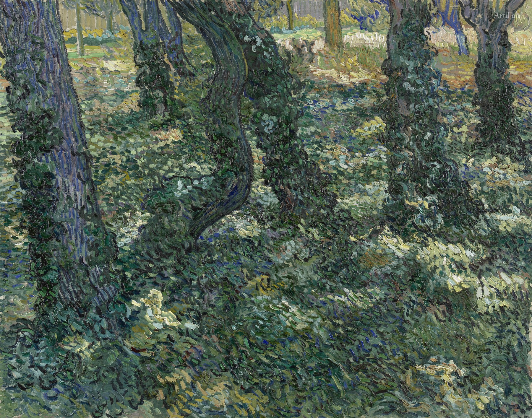 Sotto la vegetazione
