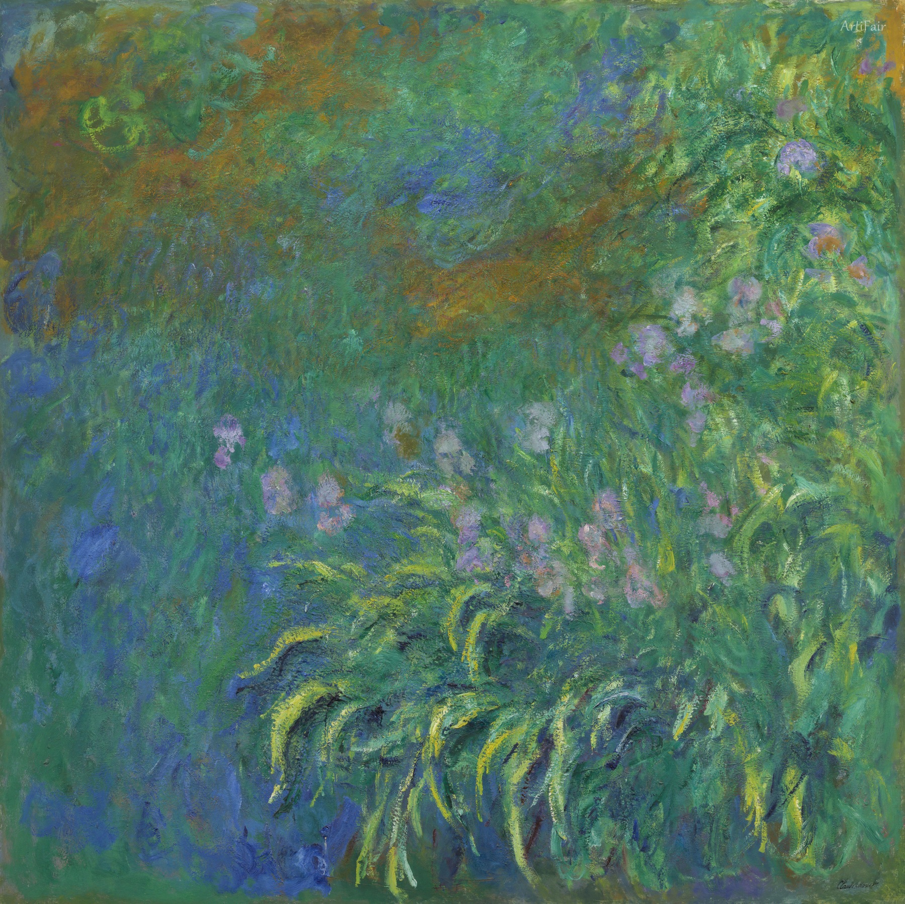 Irisy