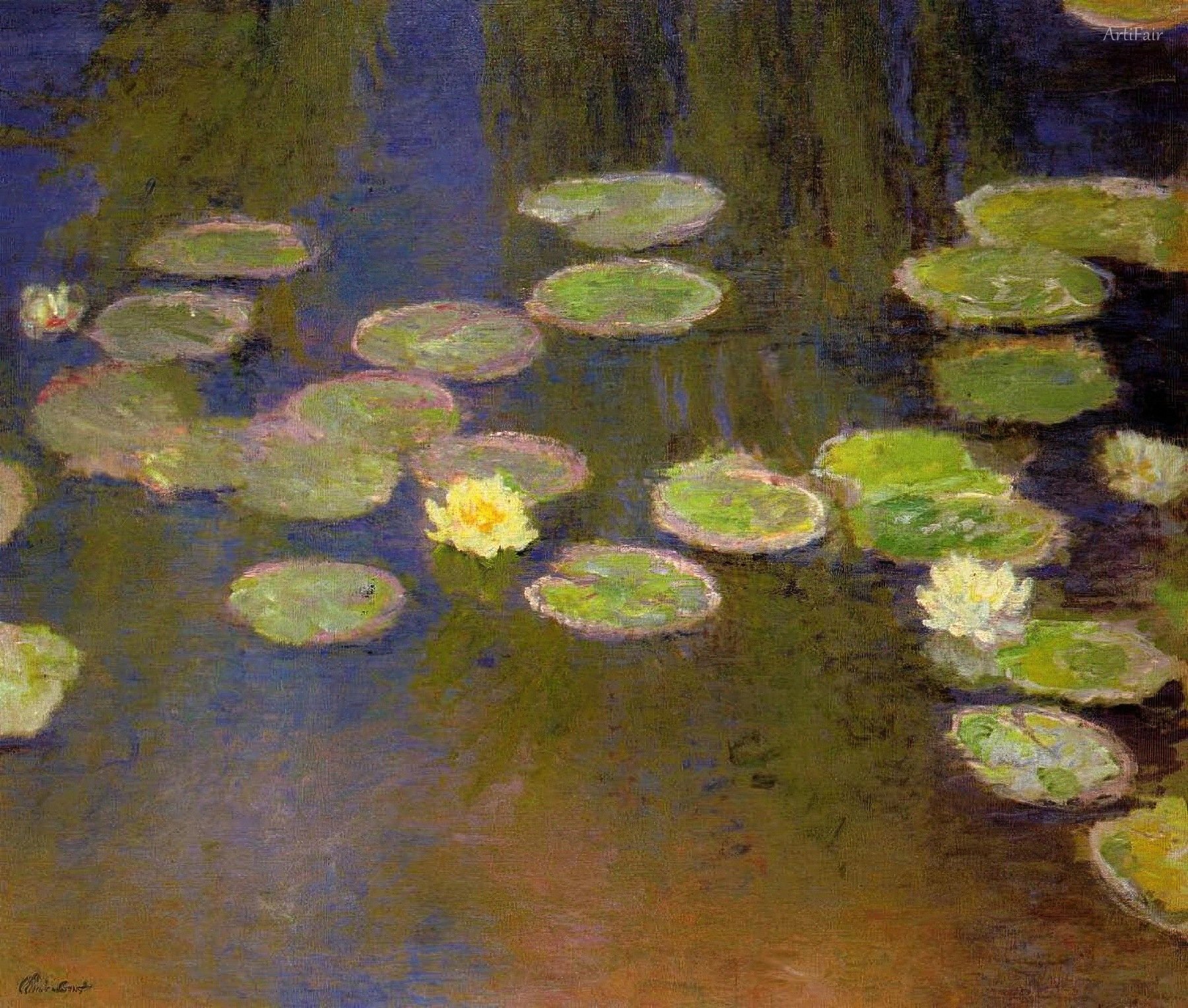 Water Lilies