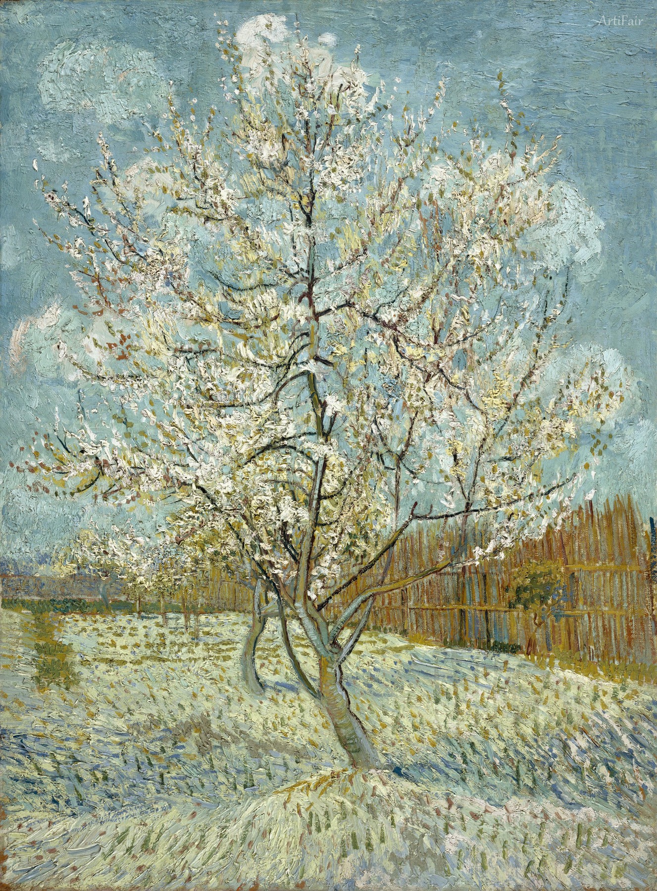 The pink peach tree