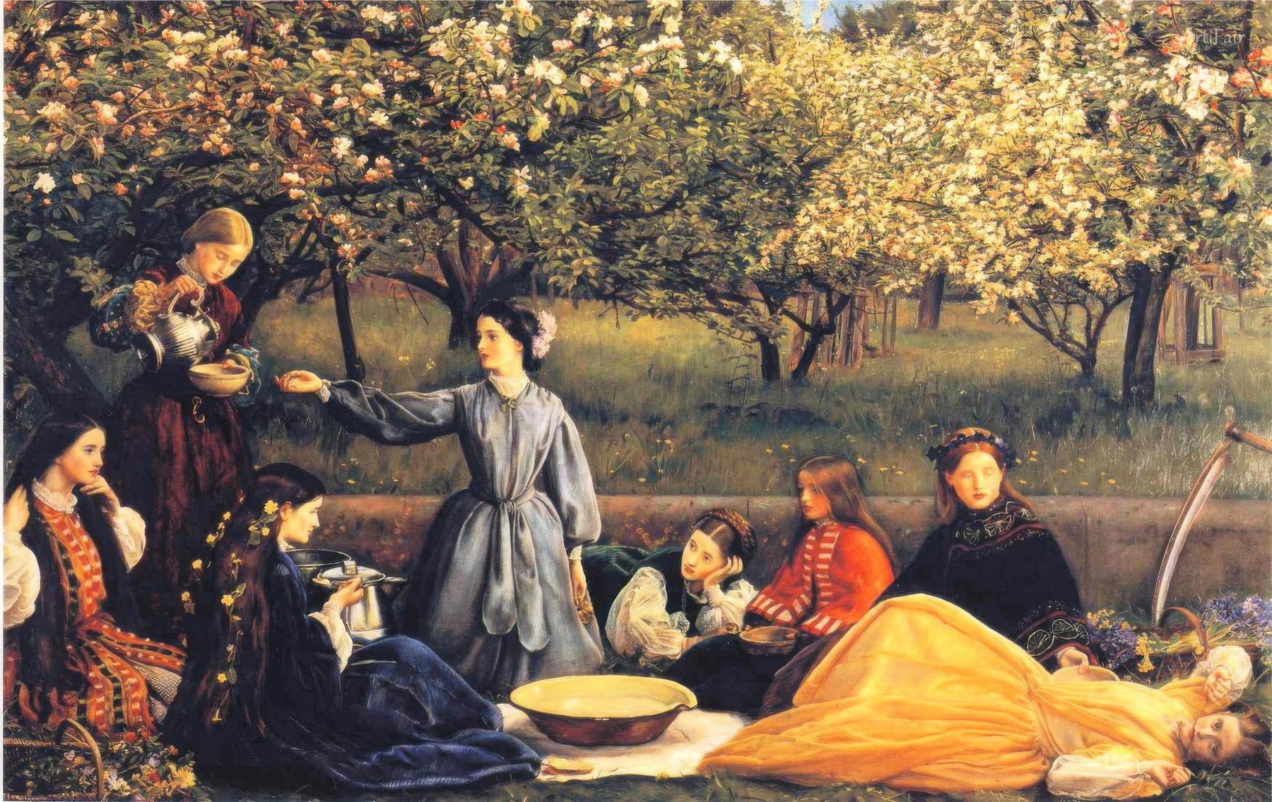 Apple blossoms are in full bloom