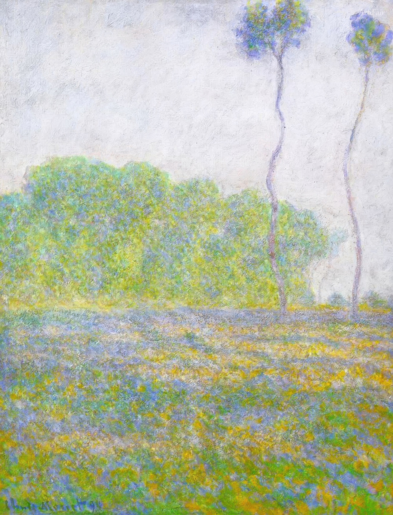 Springtime. Meadow at Giverny