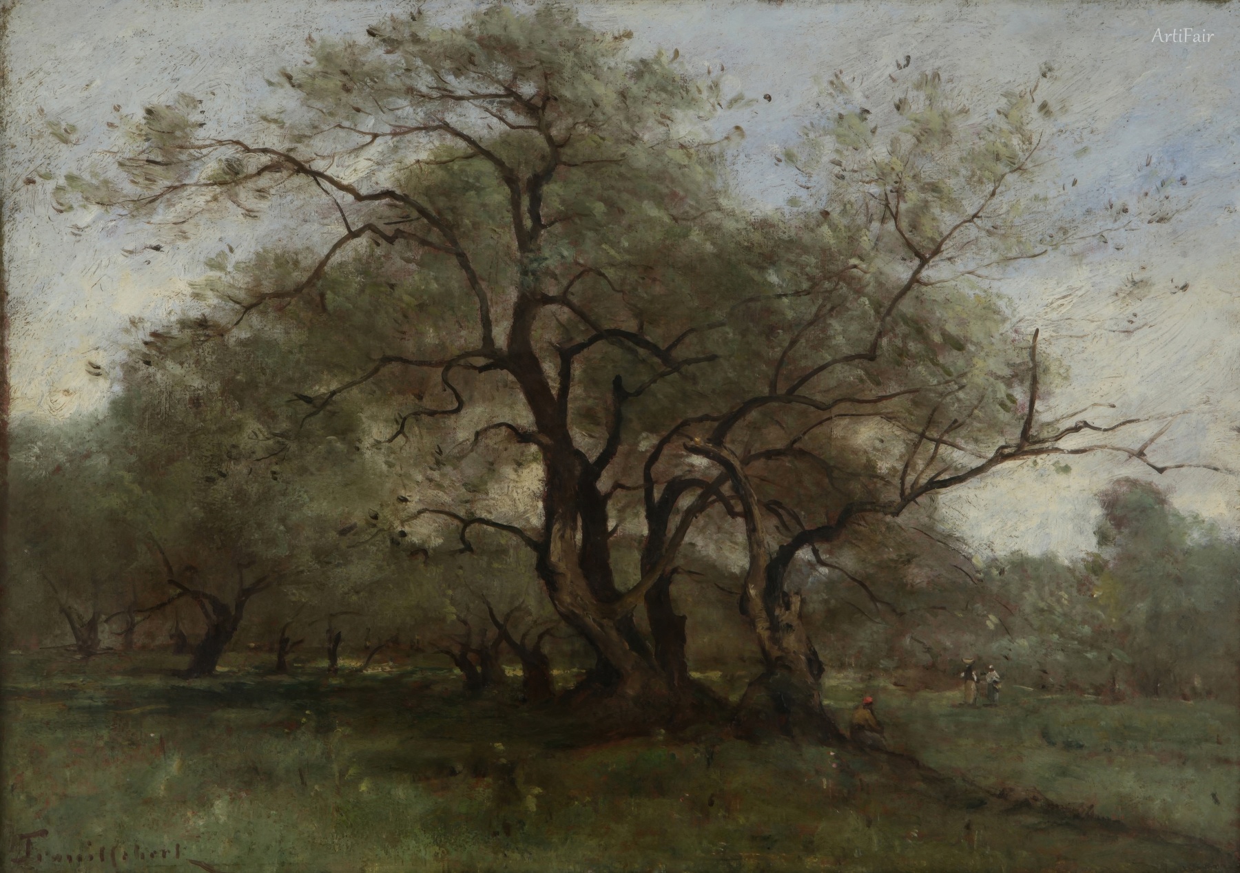 Paesaggio