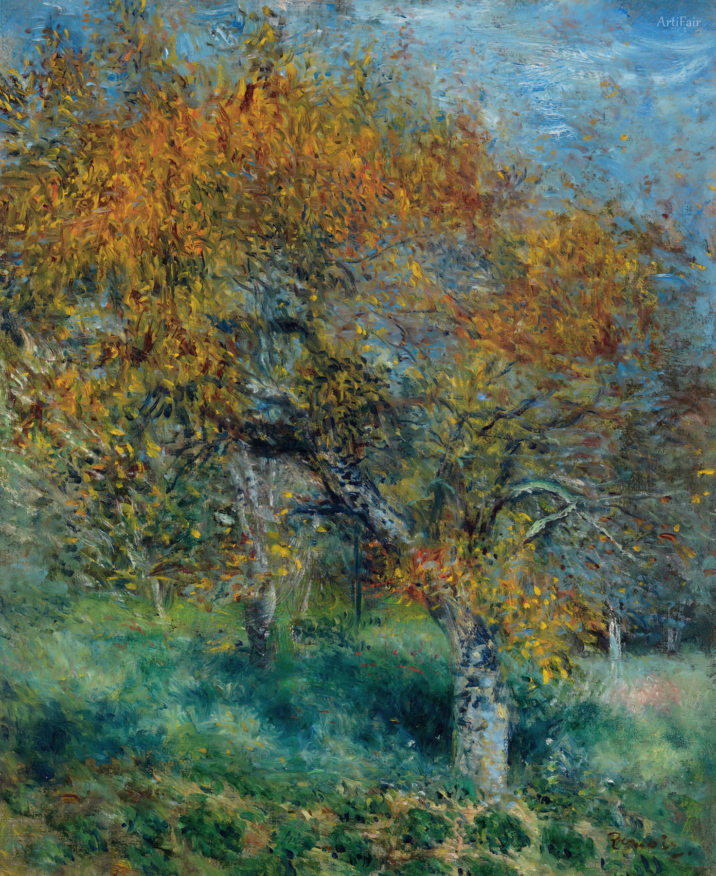 The Pear Tree