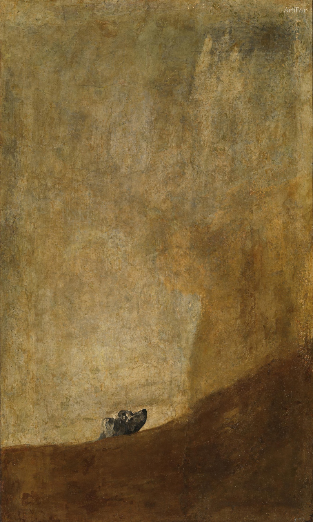The Dog