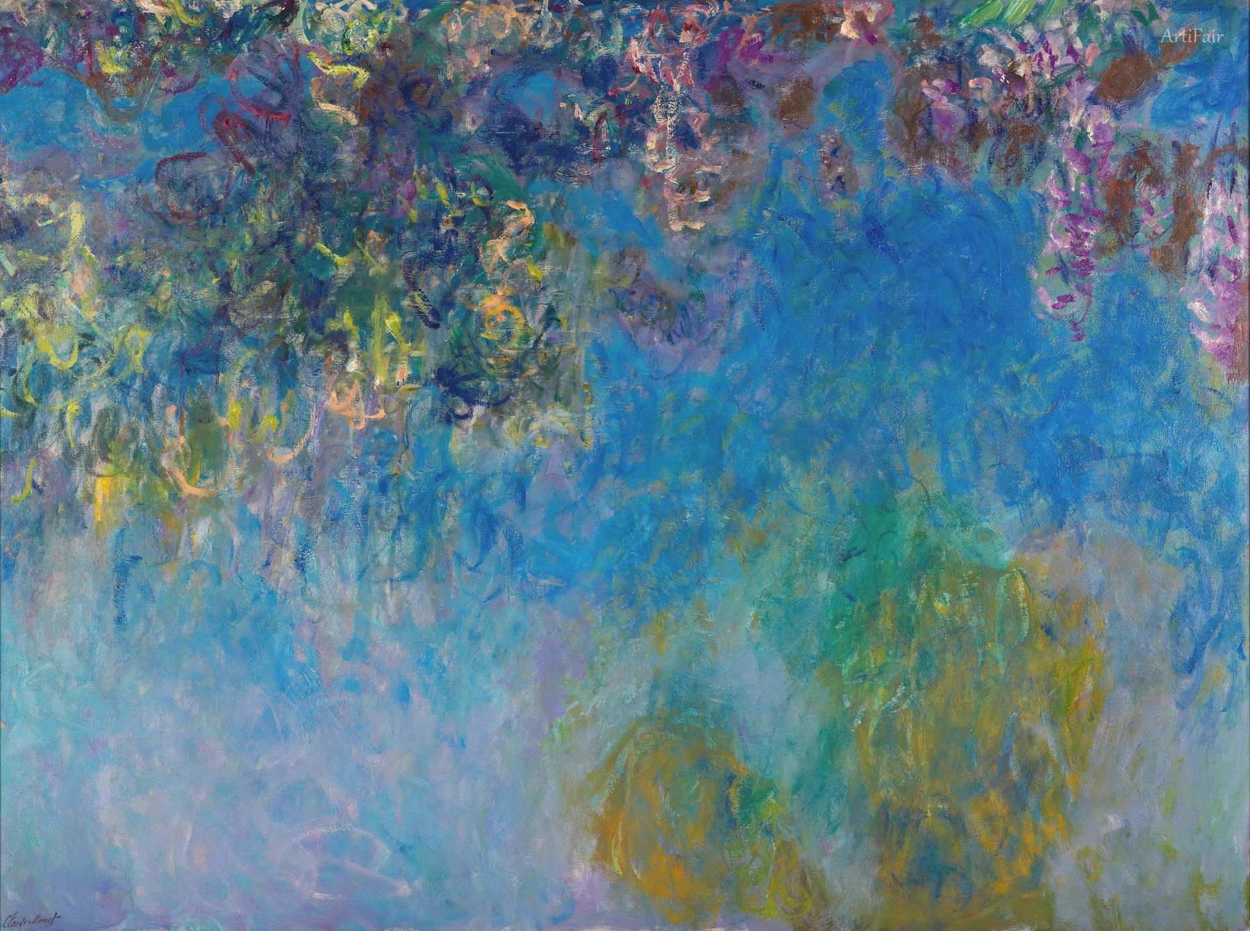 Wisteria