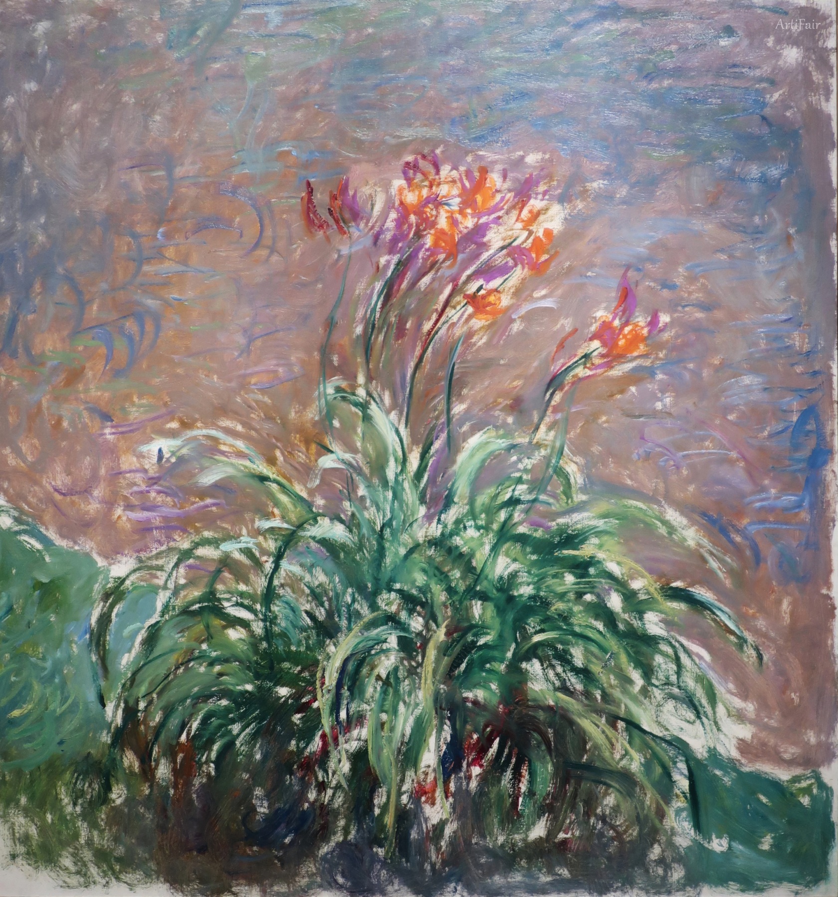 黃花菜