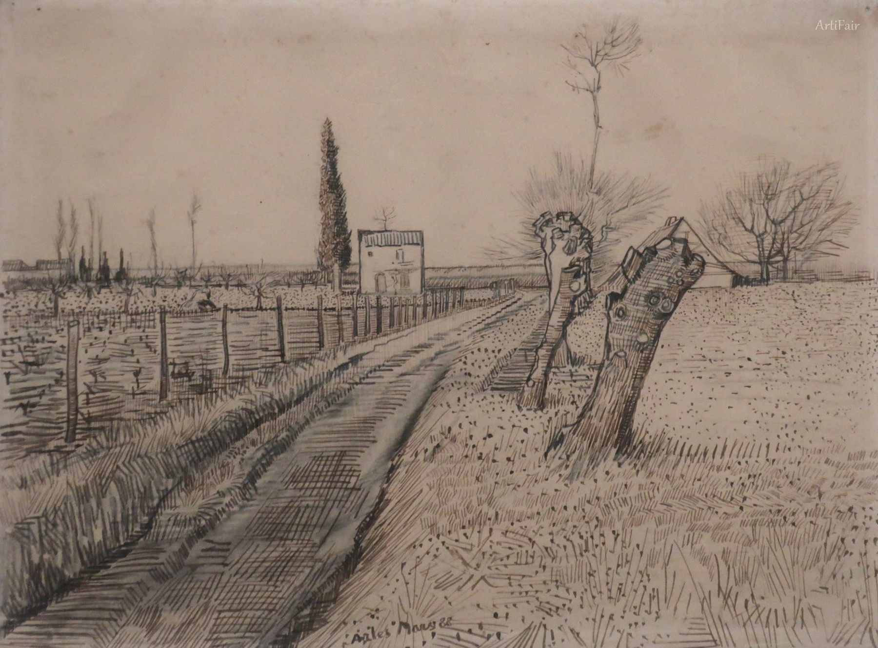 Landscape with Path and Pollard Willows
