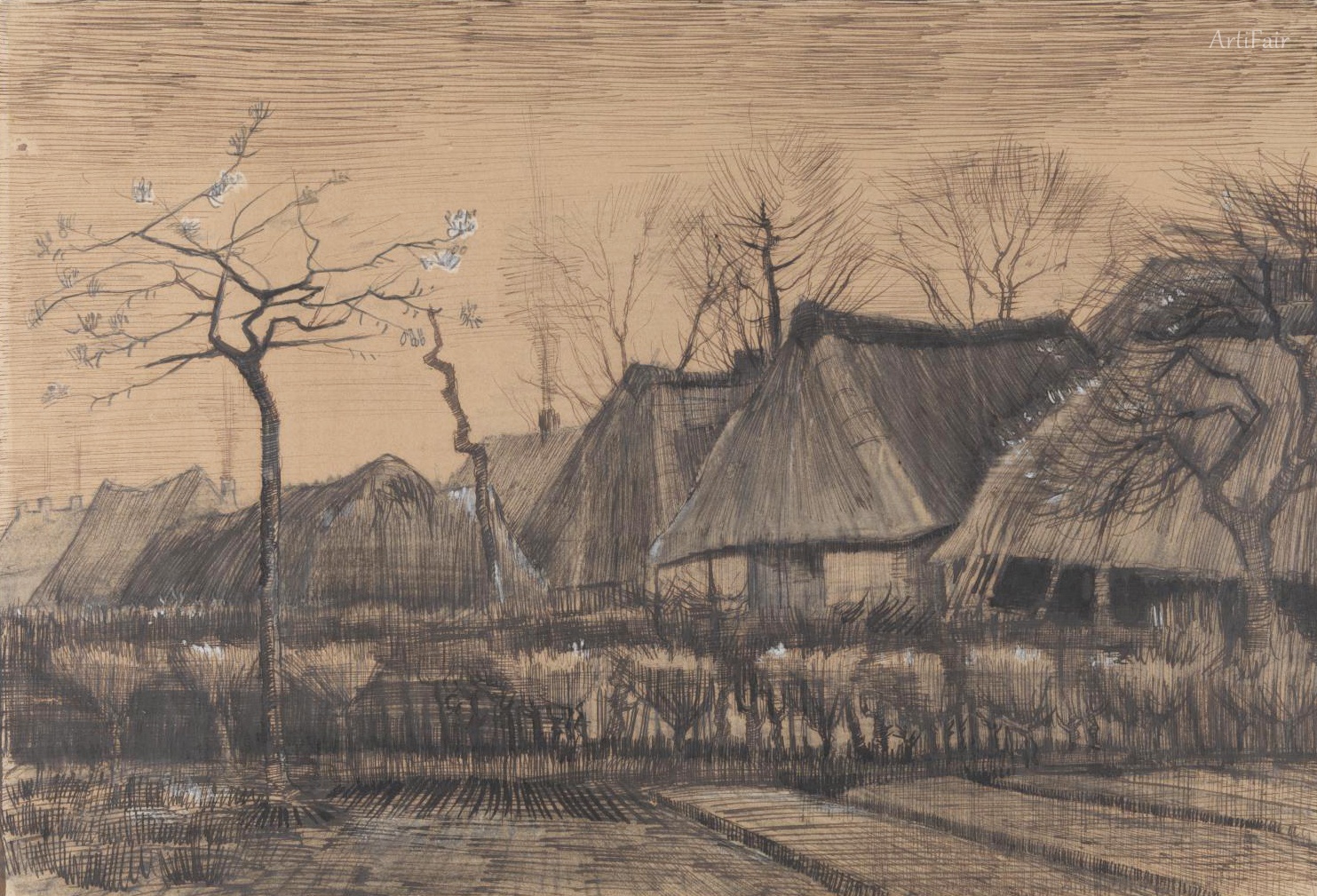 Thatched Roofs
