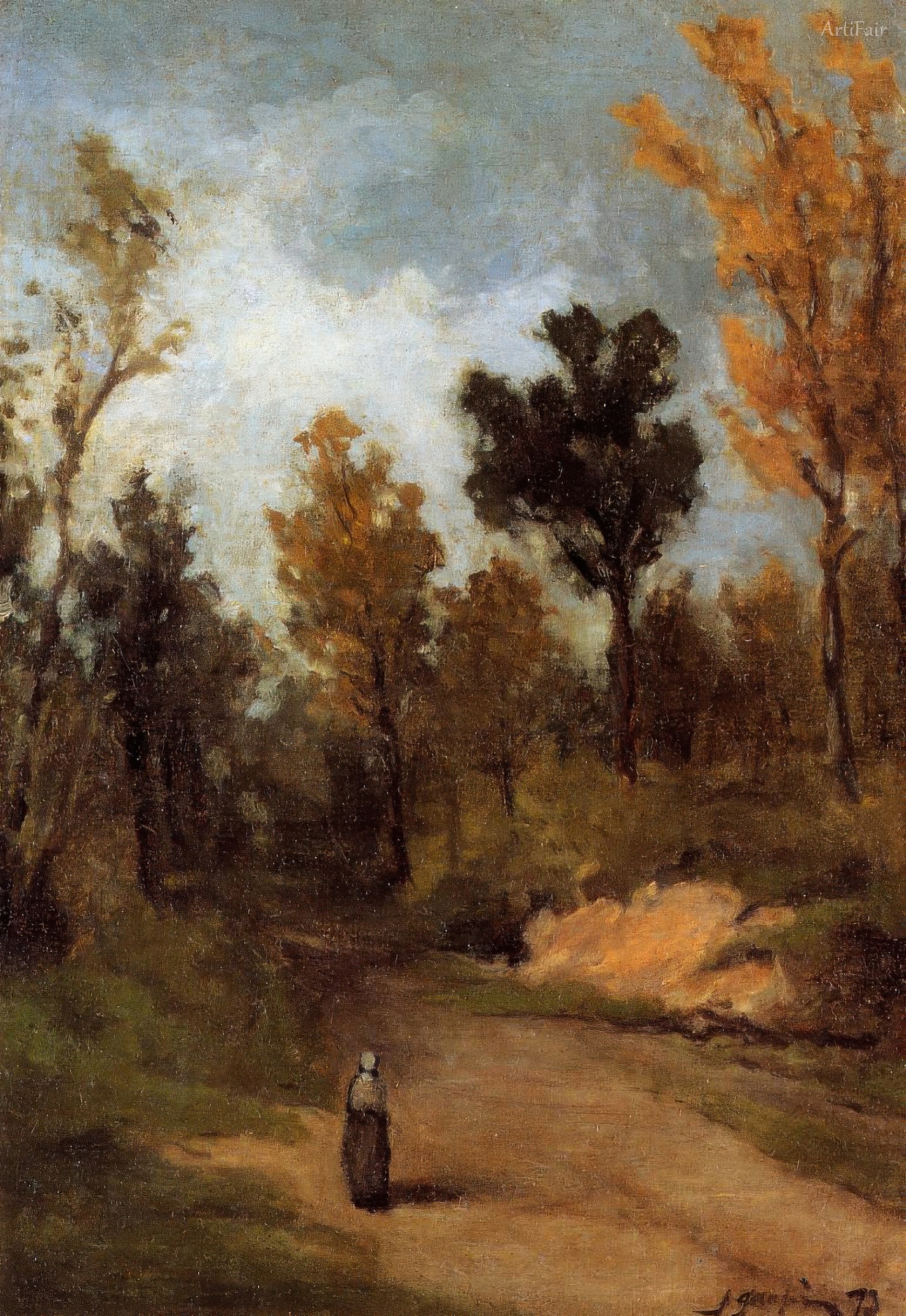 Forest Trail