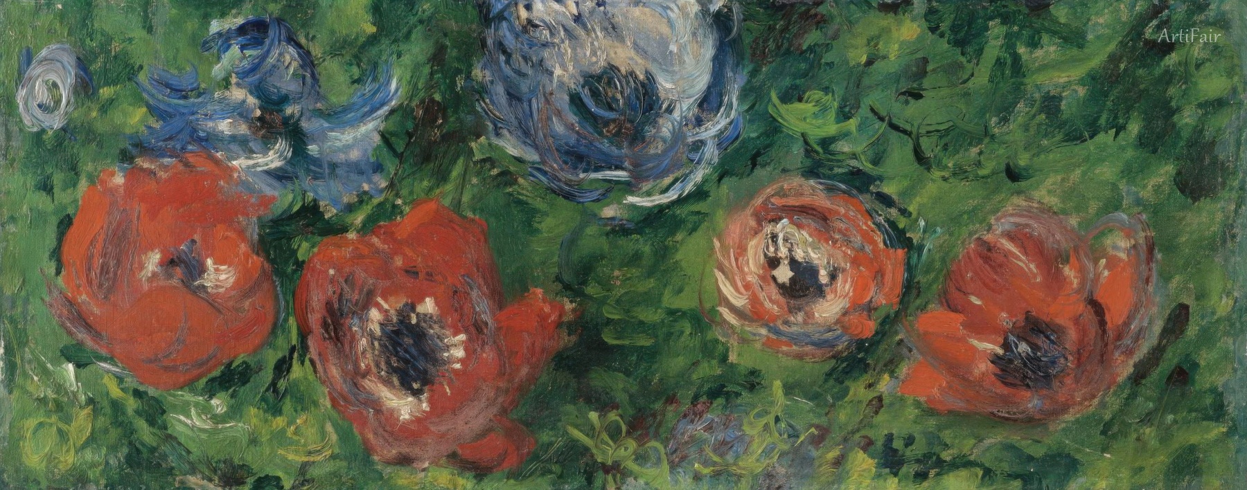 Anemones