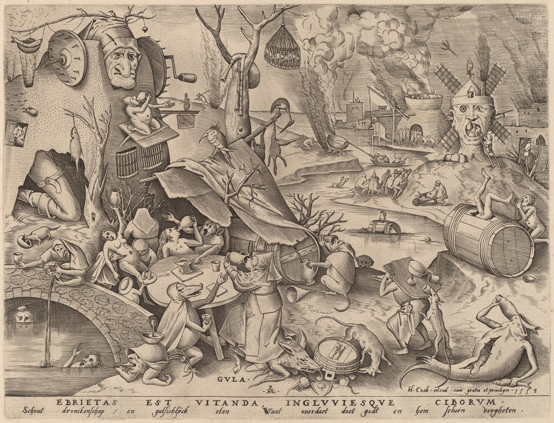 Gula 1558
