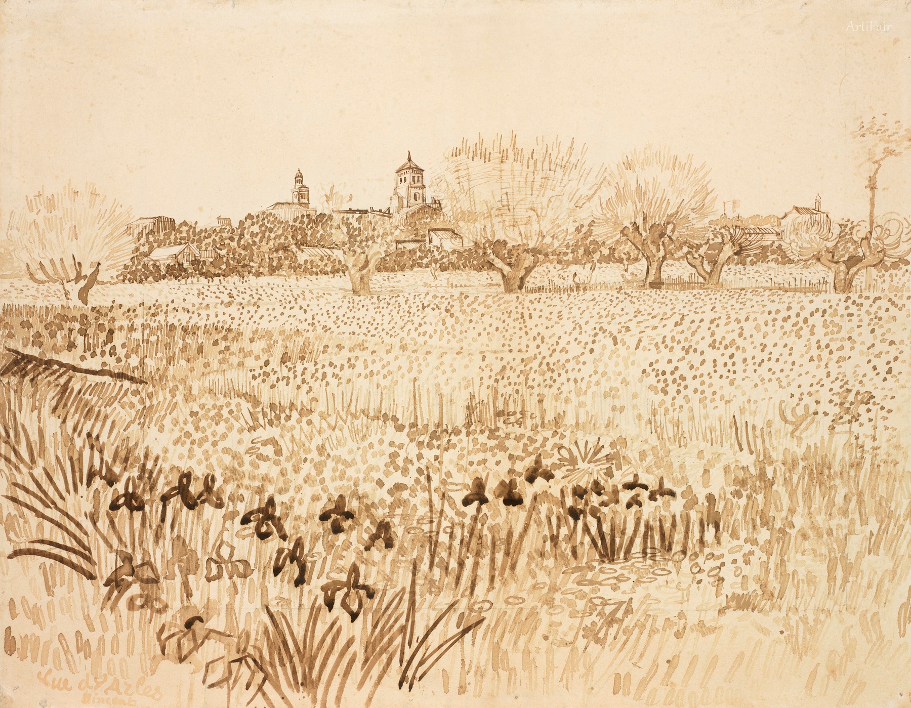 Field with Flowers