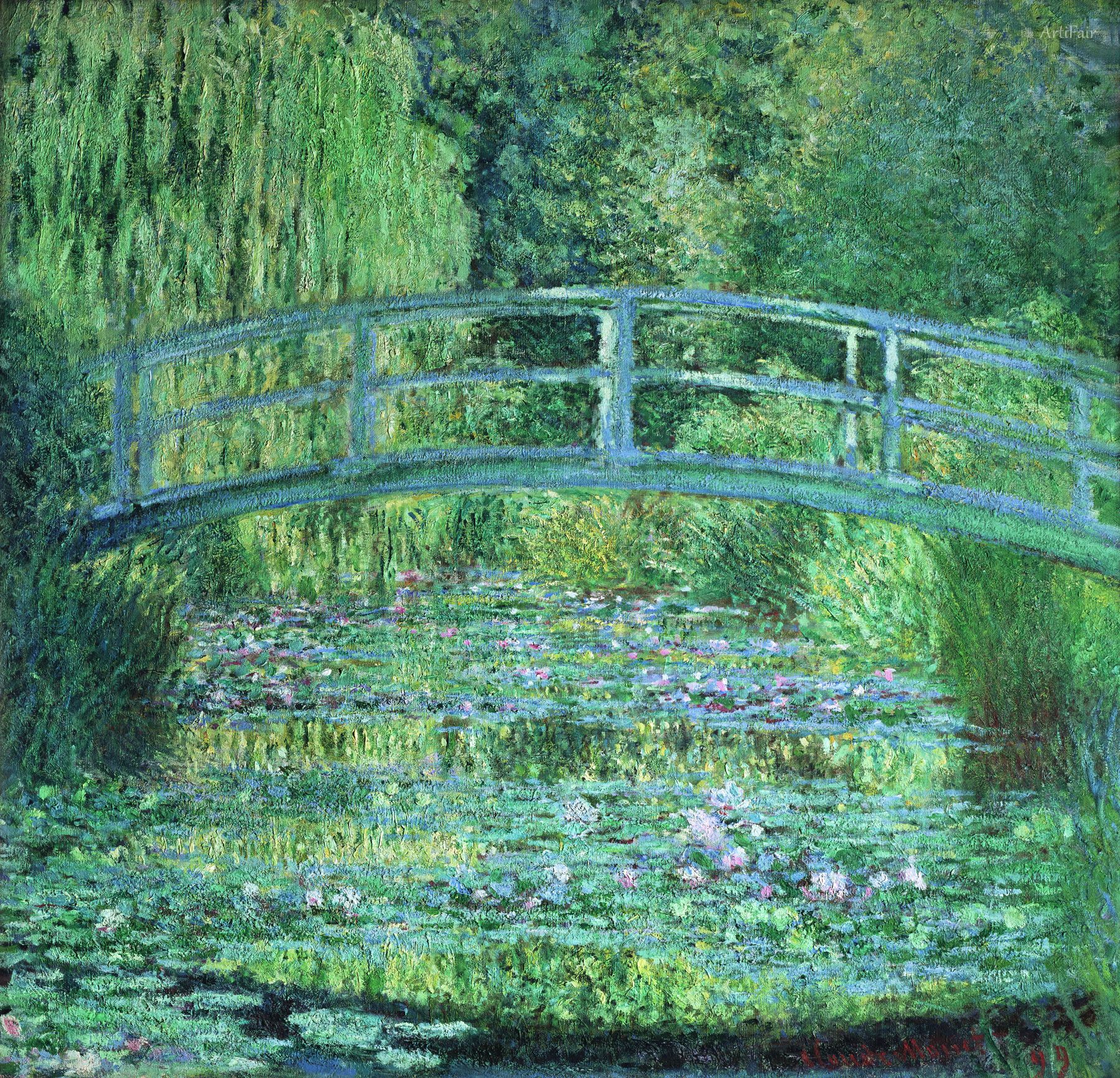 Water Lily Pond