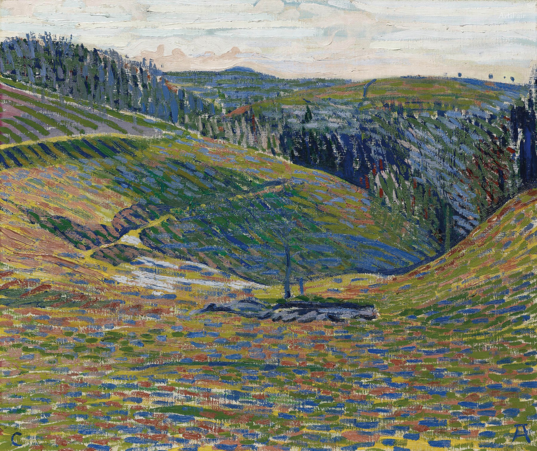 Hügel bei Oschwand 1902