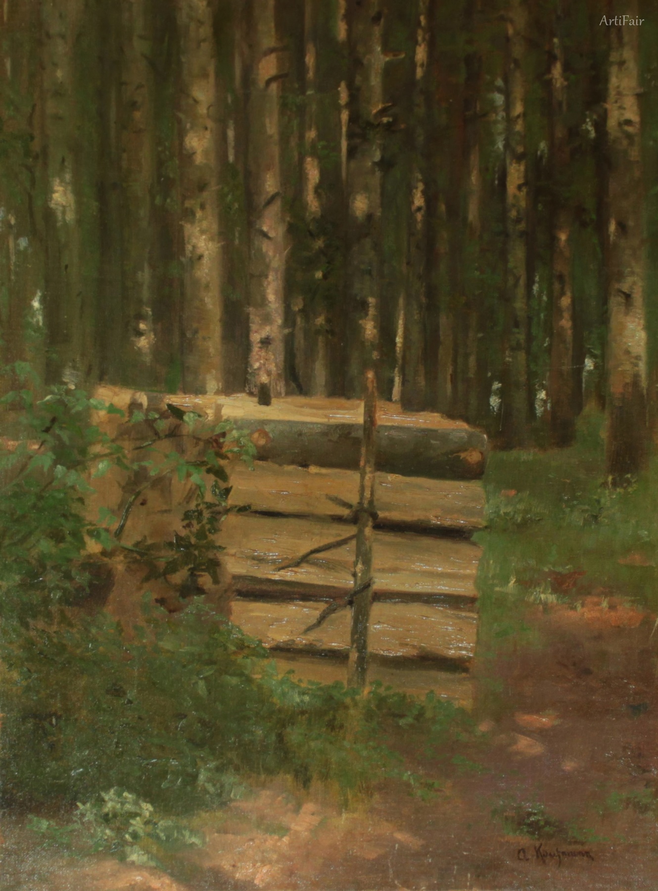 Pile of Wood in the Forest