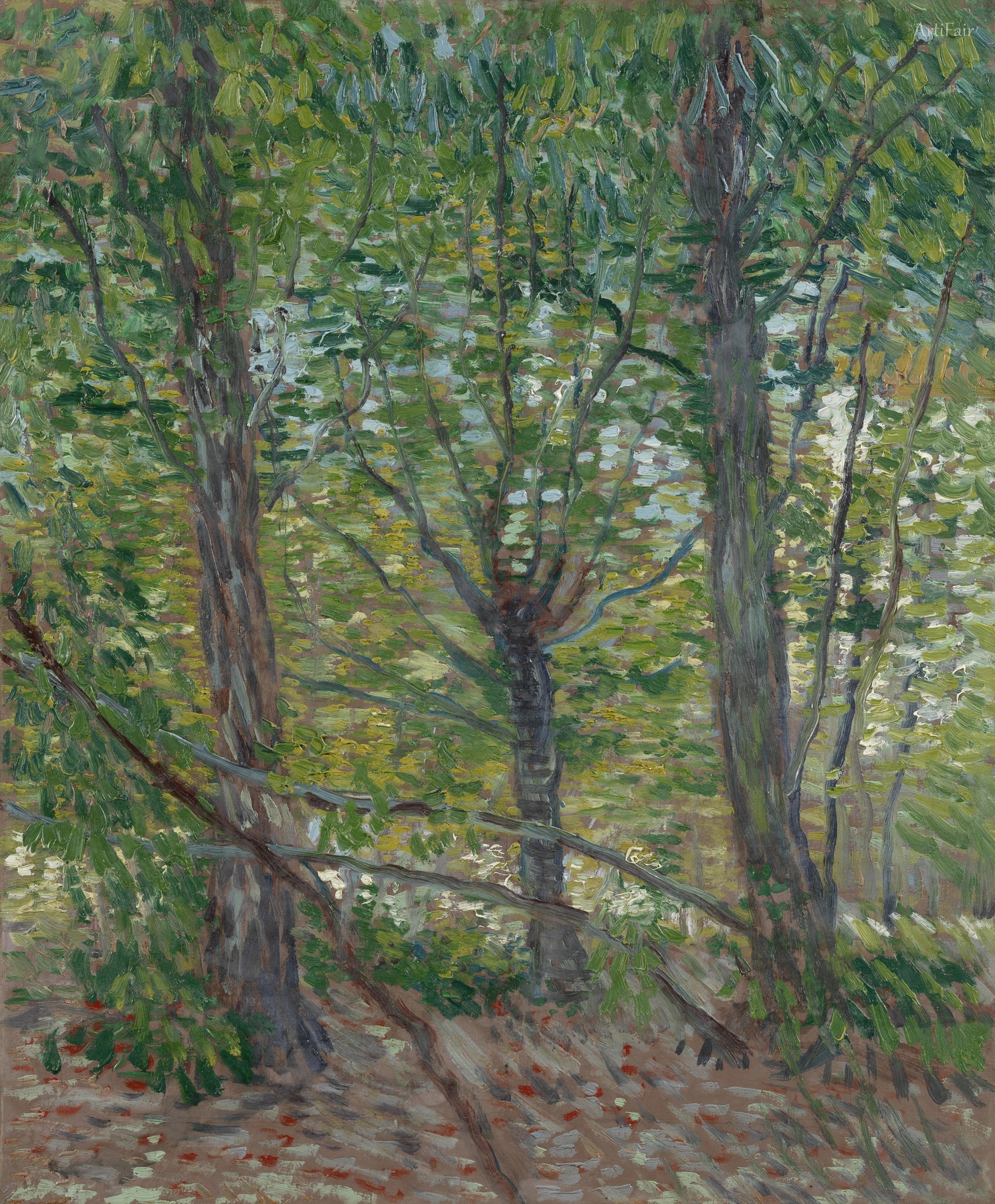 Trees