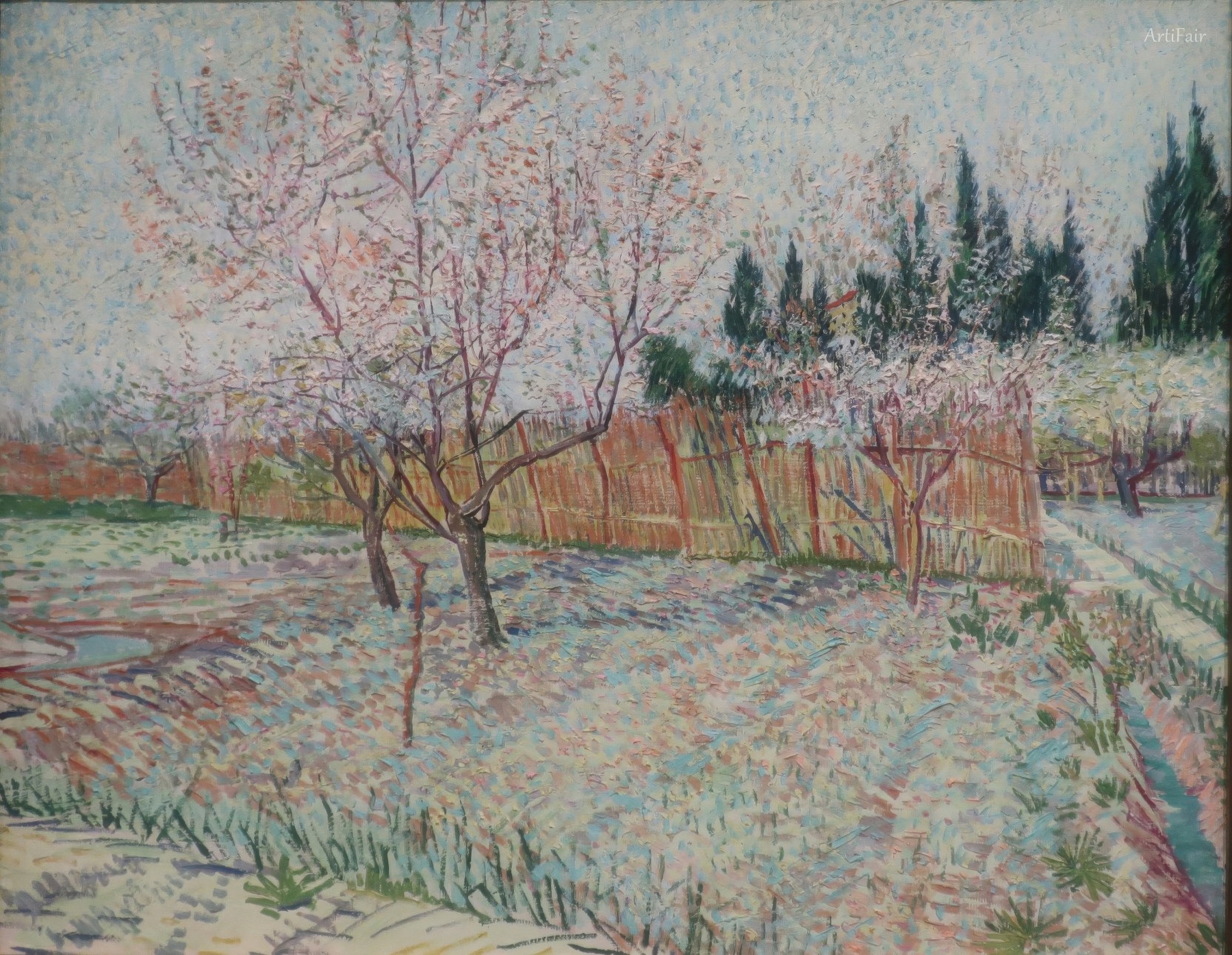 Orchard with Peach Trees and Cypresses
