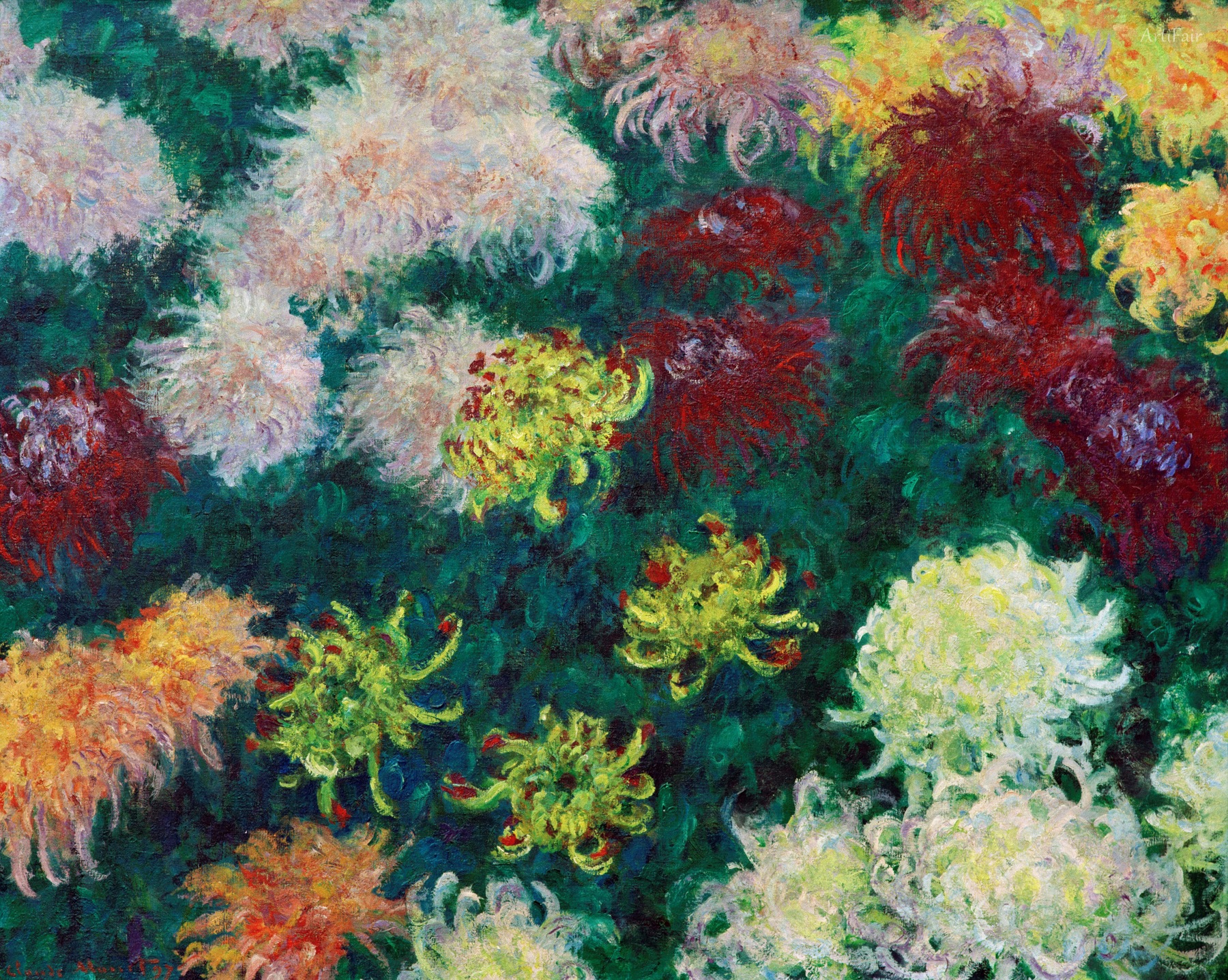 Chrysanthemum Mountain