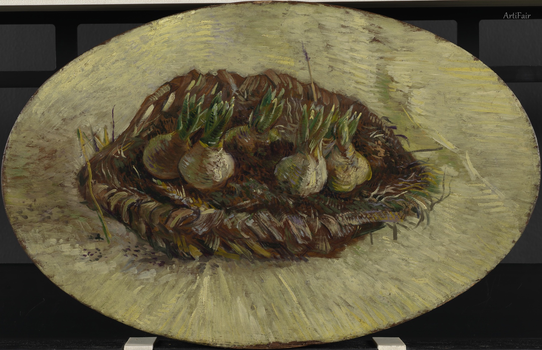 Basket of Hyacinth Bulbs