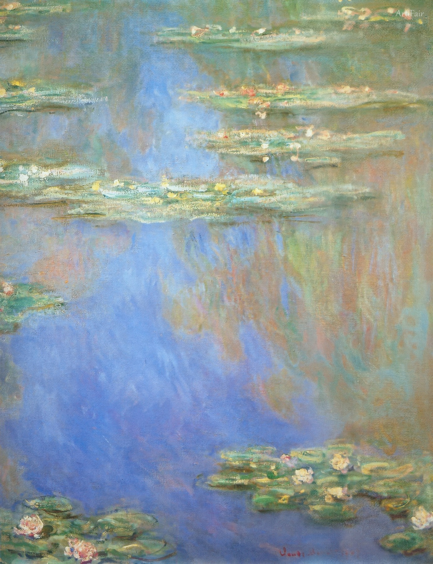 Water Lilies